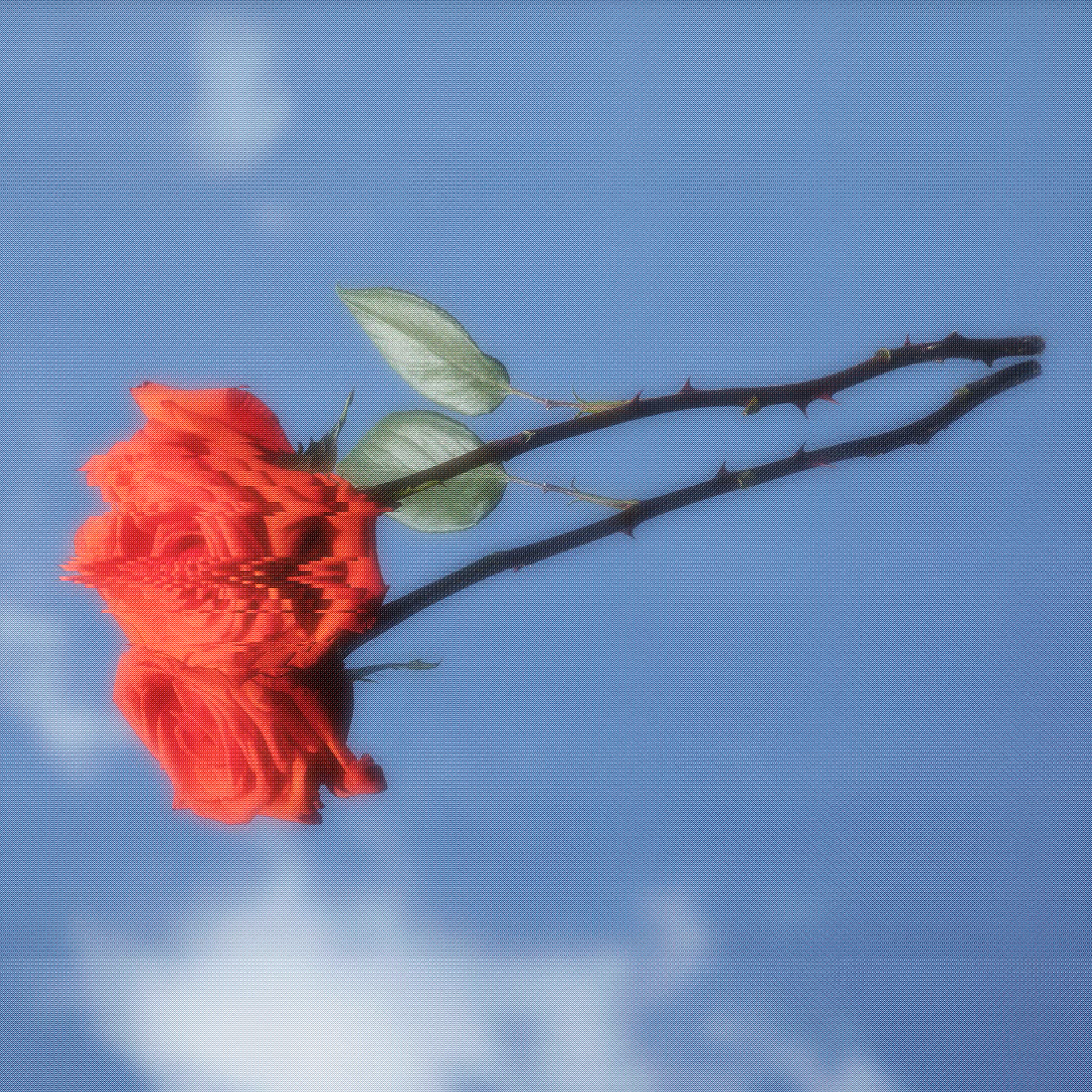 Remembrance
