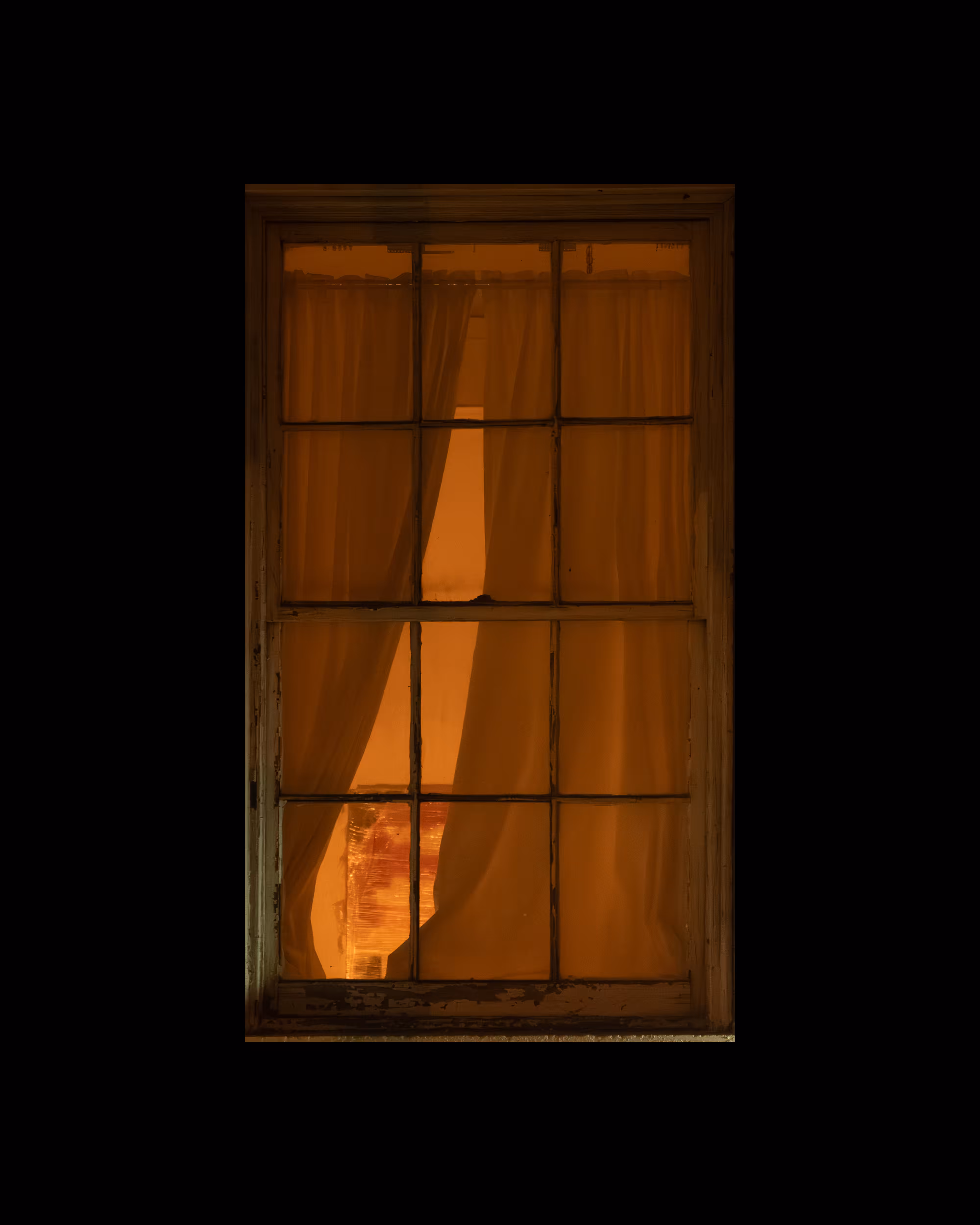 WINDOWS // NYC: WINDOW 186