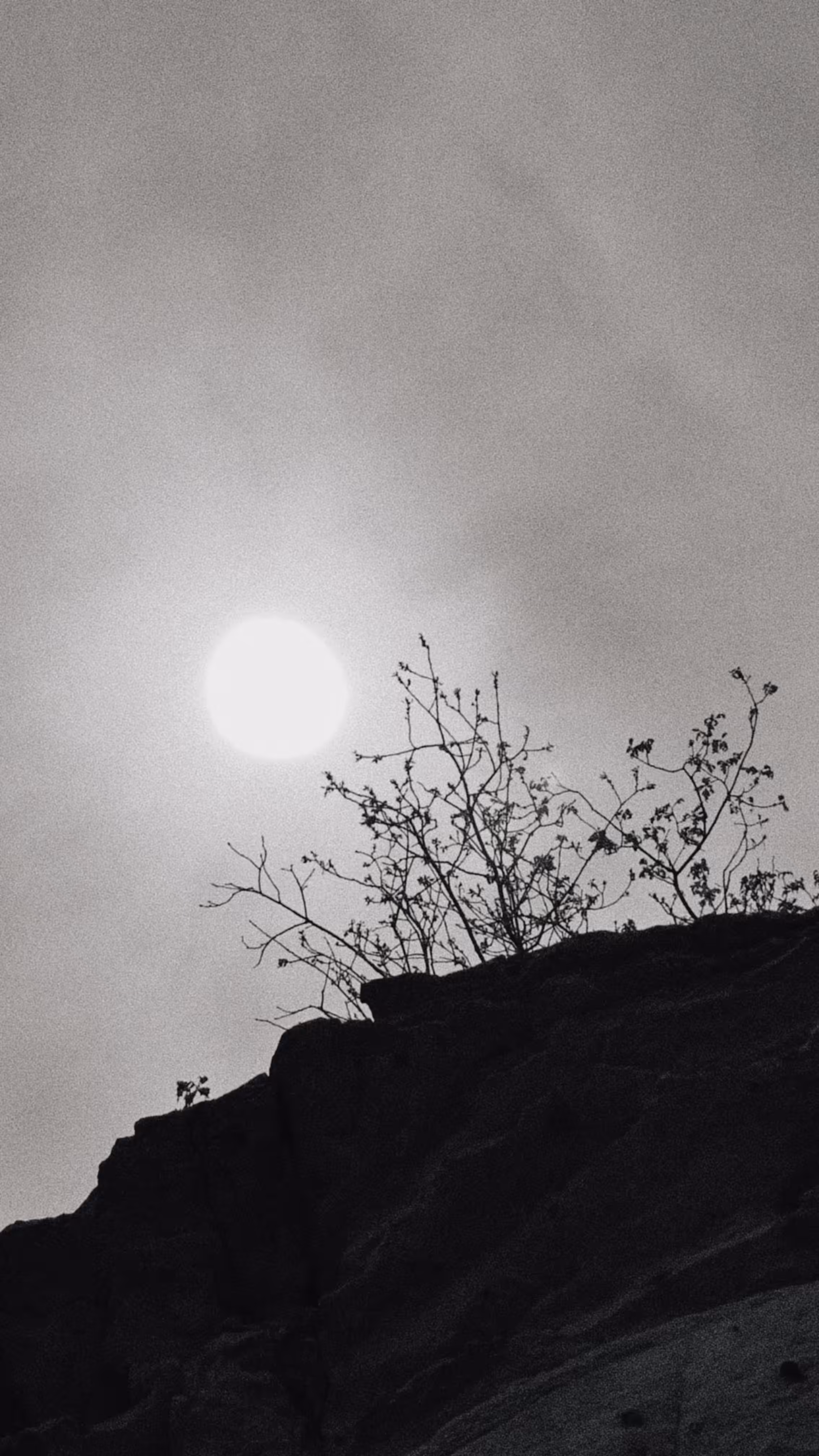 Finding Light