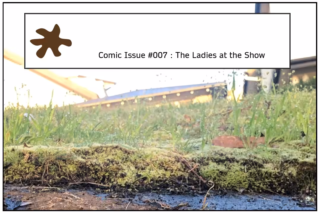 Muckywheels Comics #007 : The Ladies at the Show