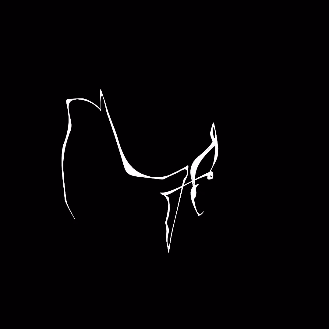 What do you see? #2