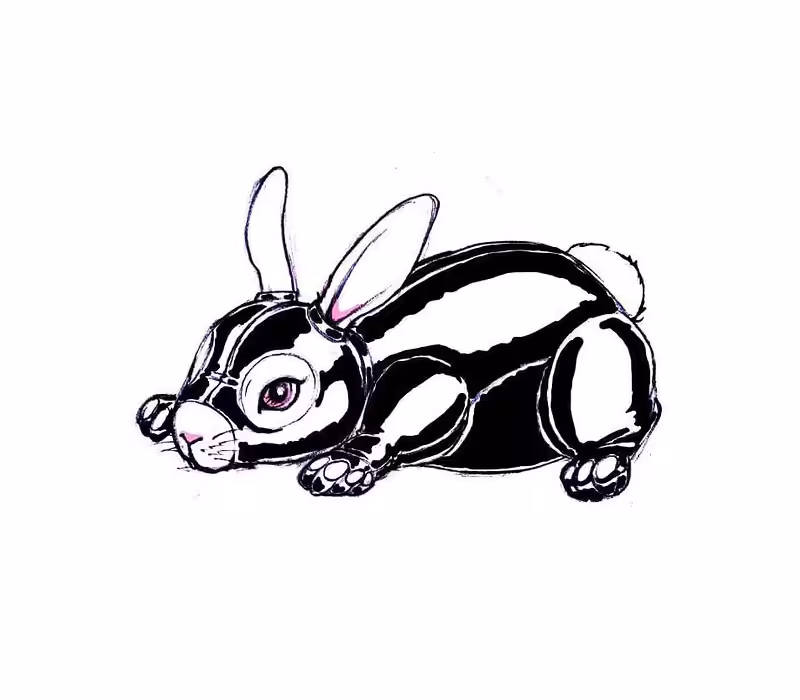 Fun Bunn