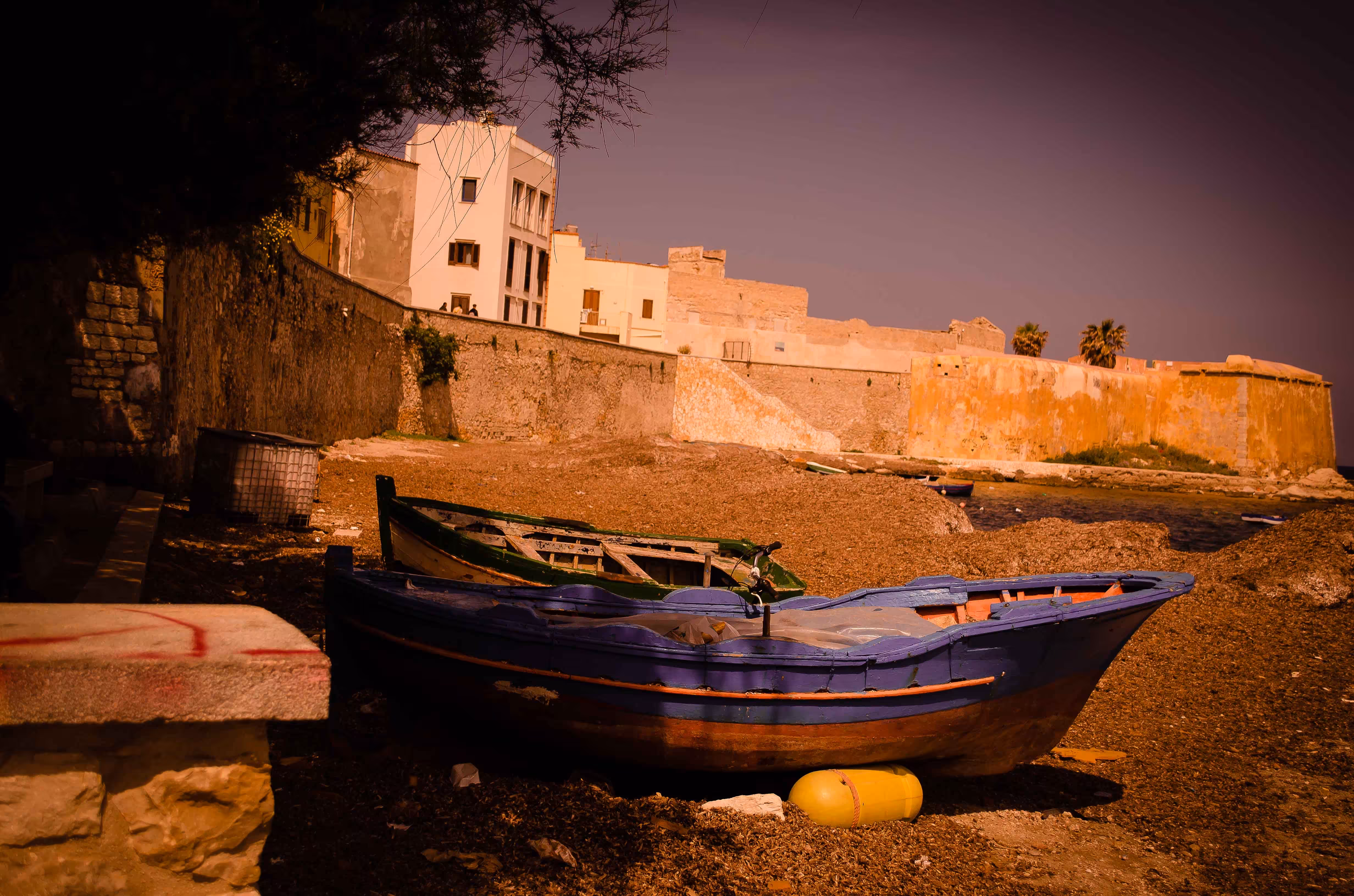 Boat