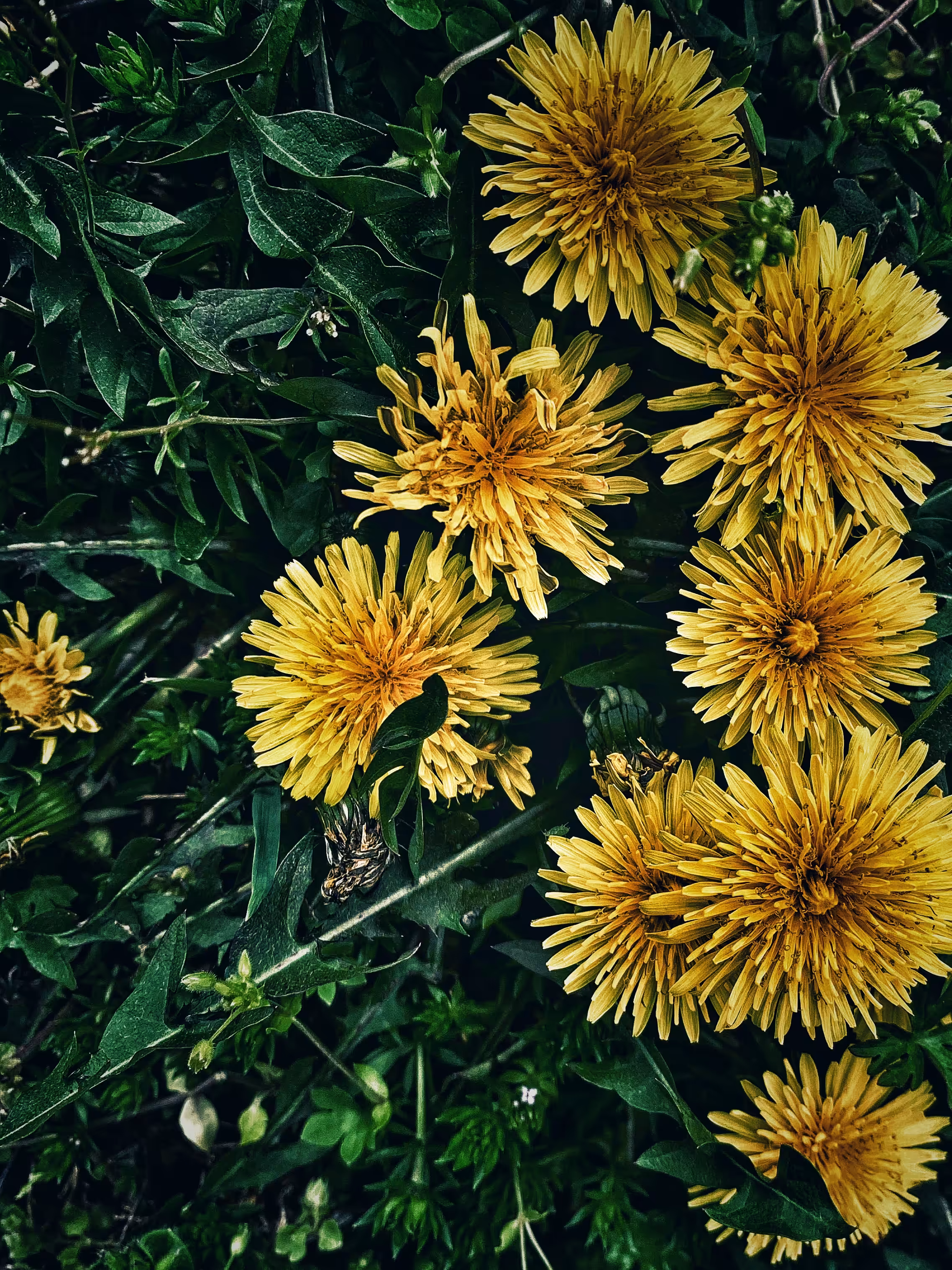 The Daily Good 16.4.22