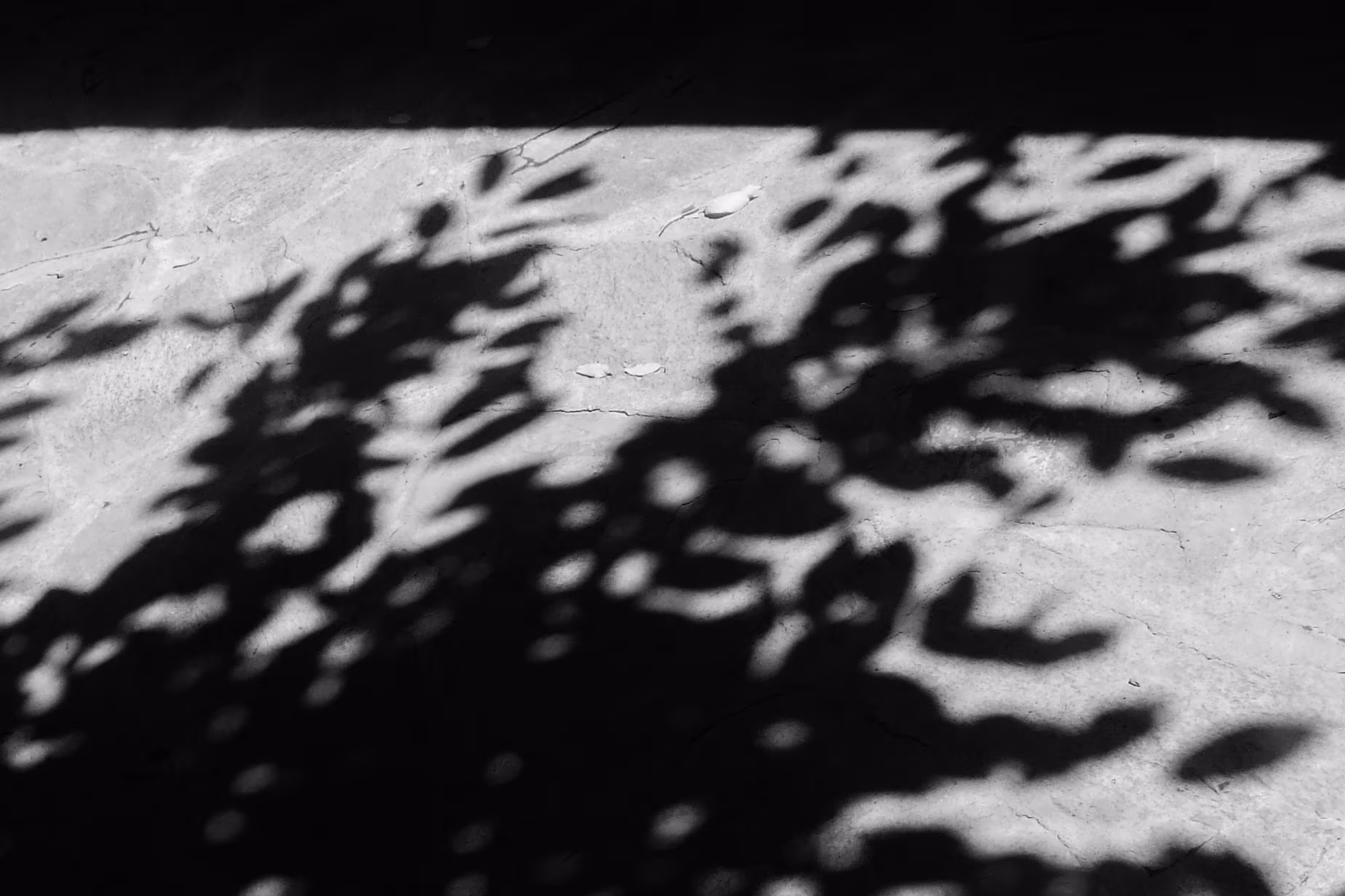 Supportive shadows