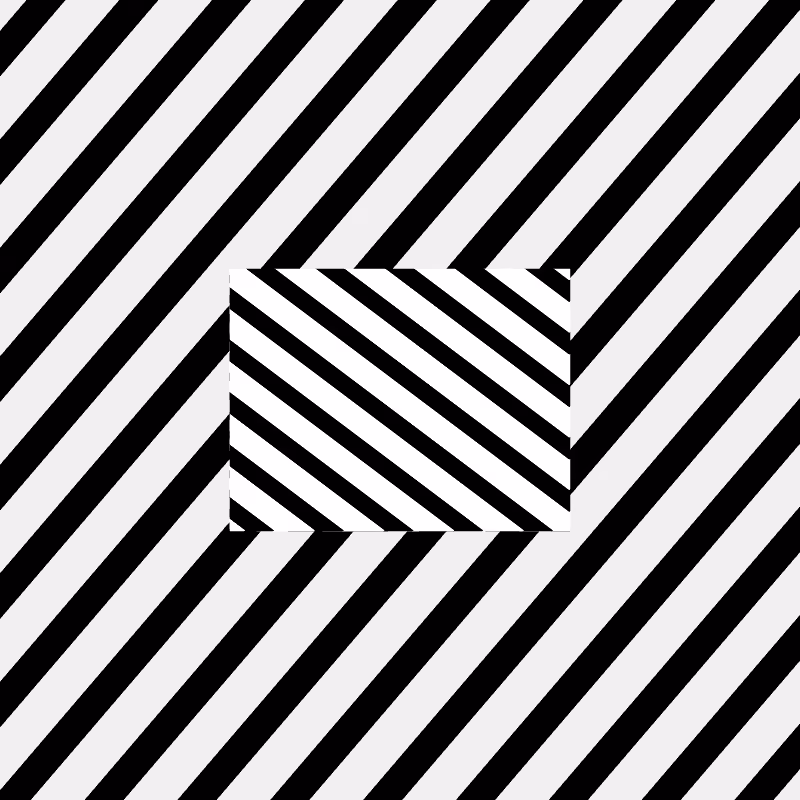 Chromatic dazzle #480