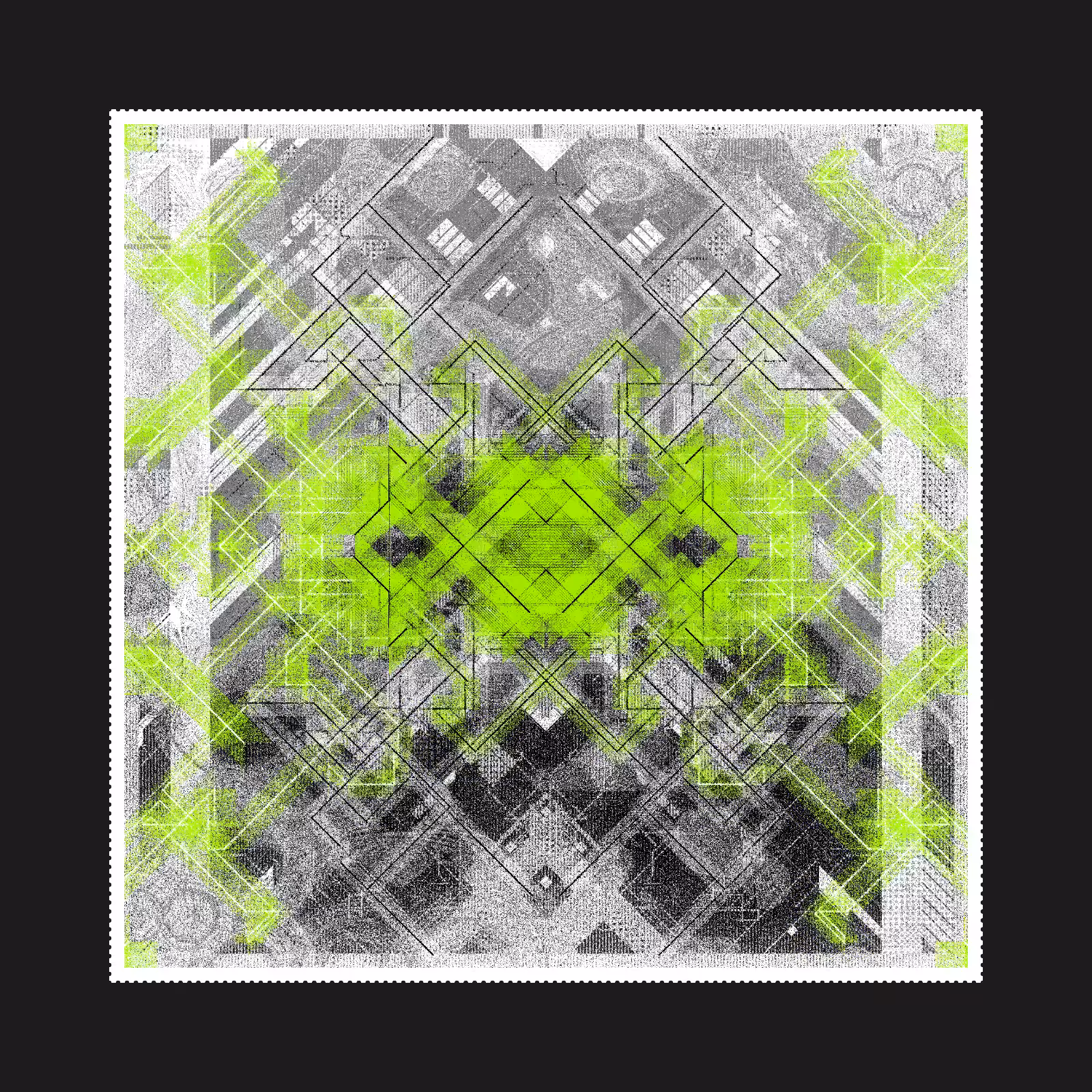 貝殻 | SHELL #126