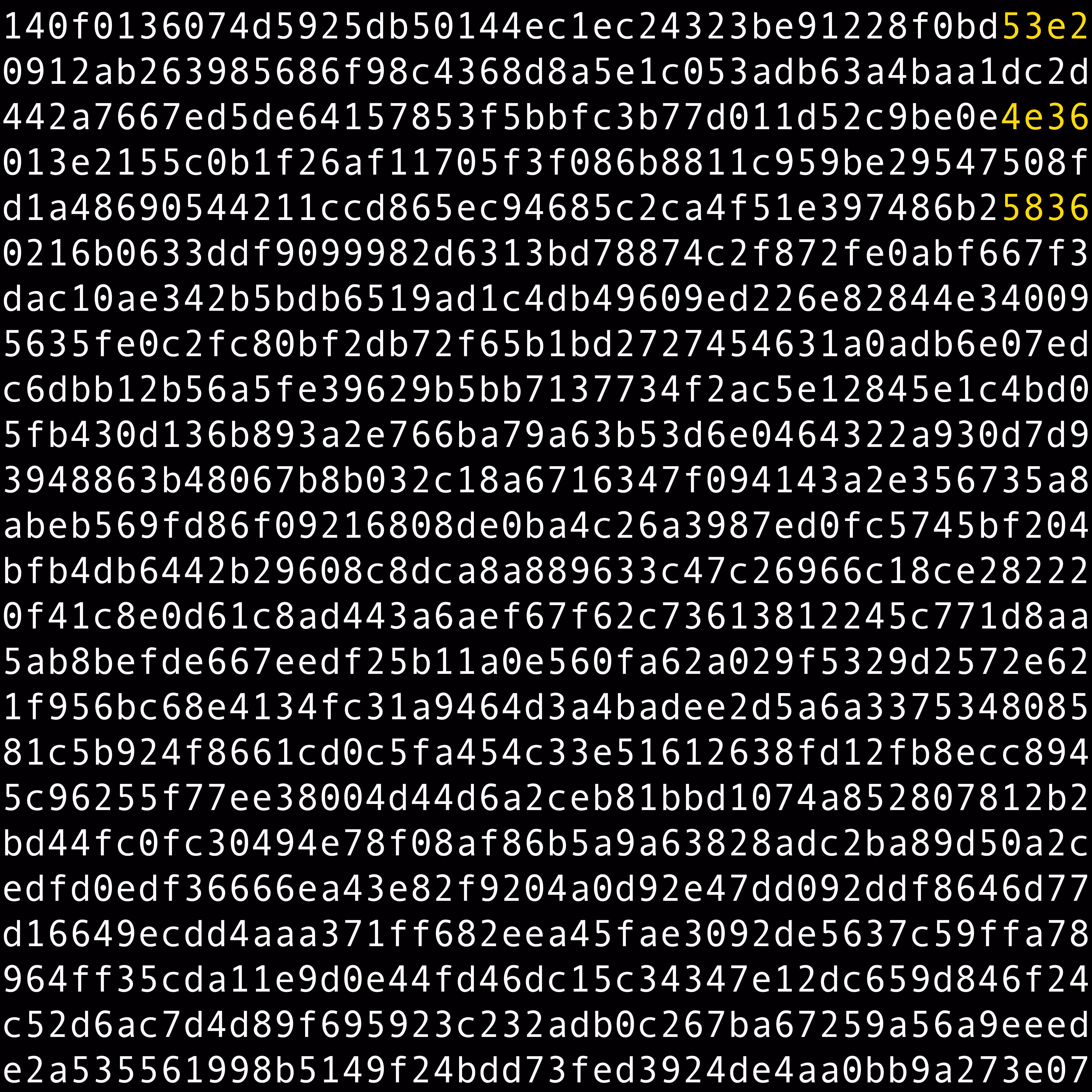 1111 #0169
