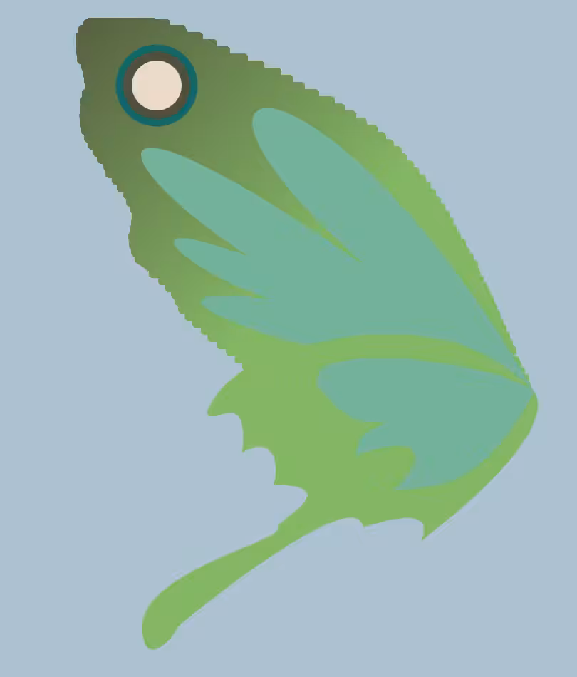 butter+fly #28