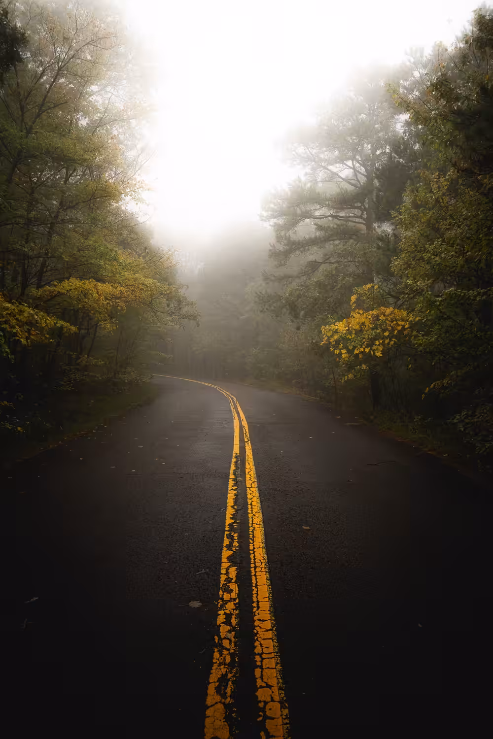 The Road