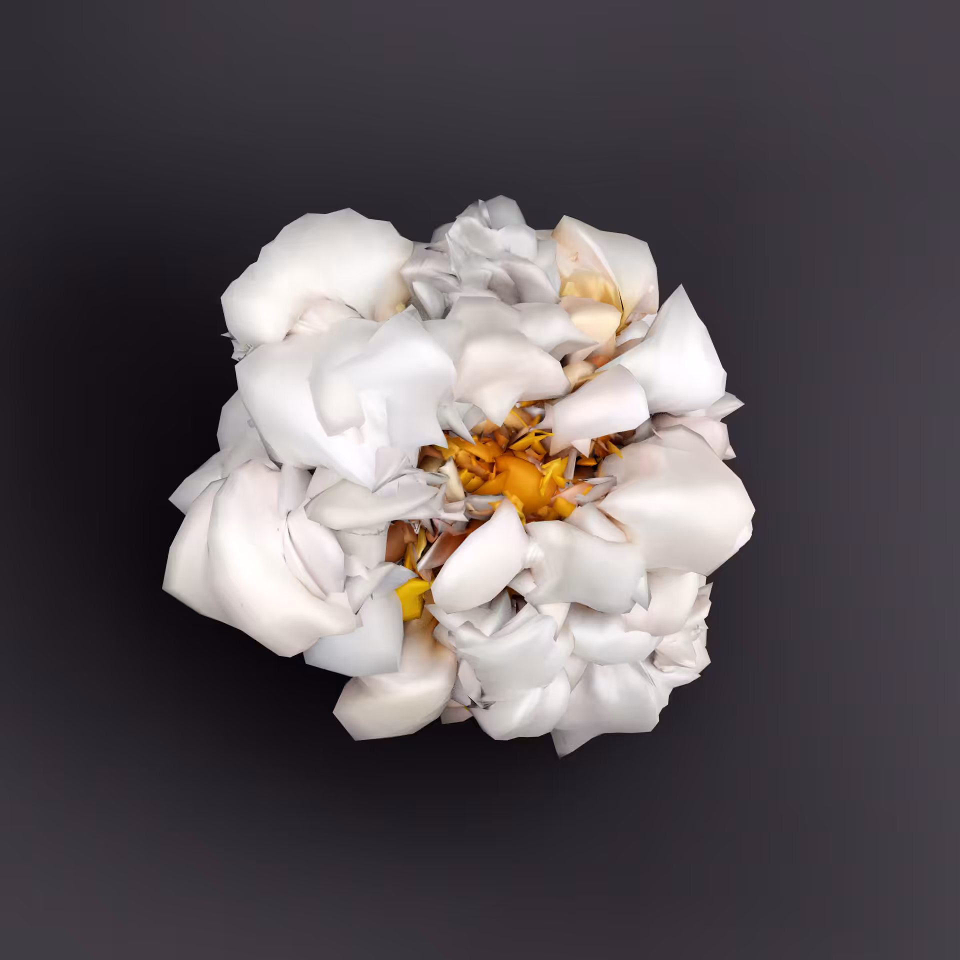 Blender Cycles Flora 013.004