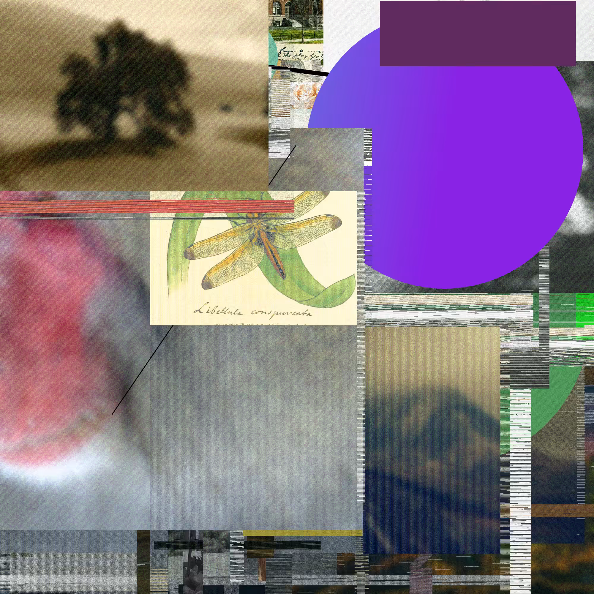 Unconscious Collages #1188