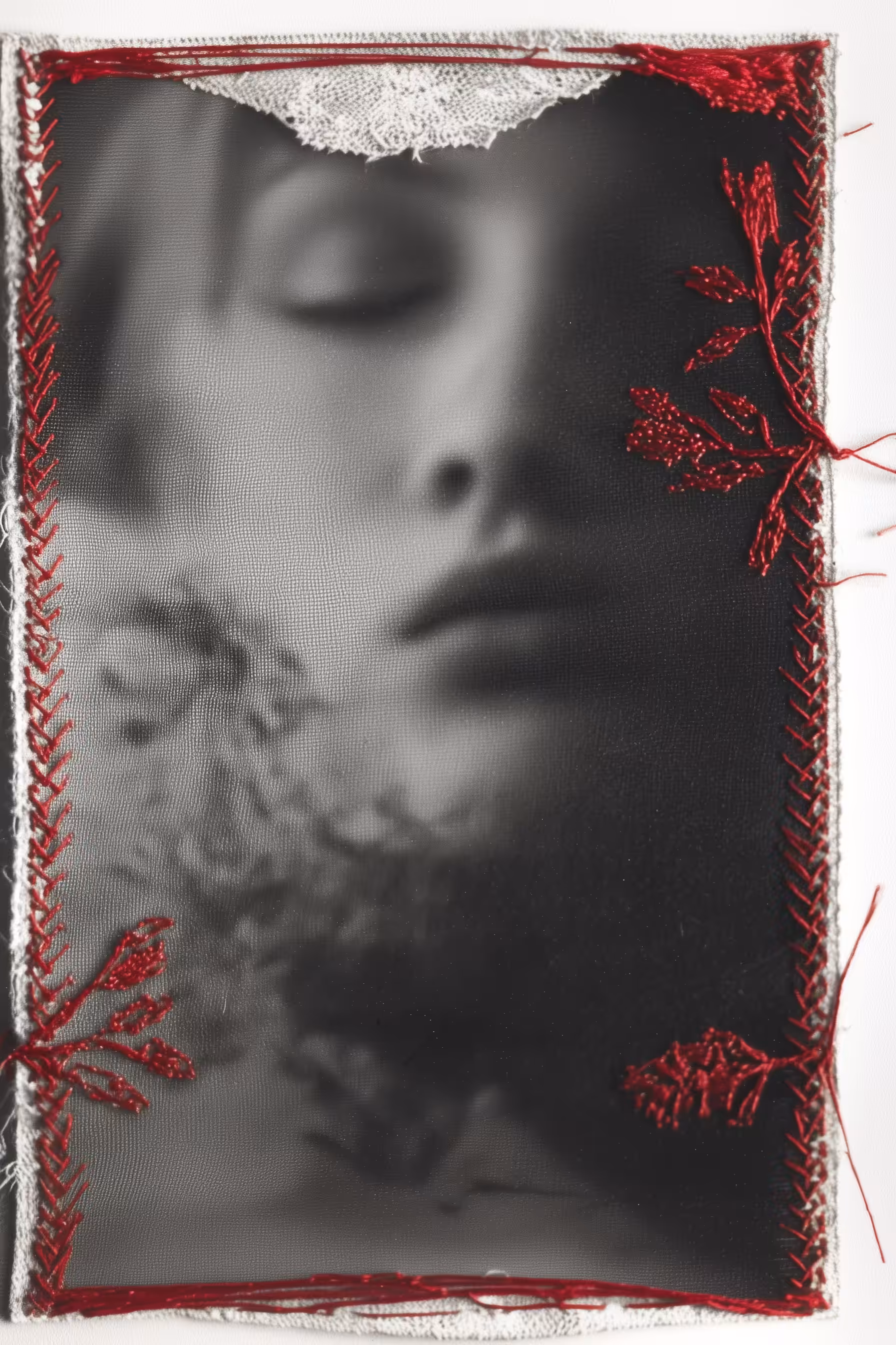 Elegy in Red Stitches