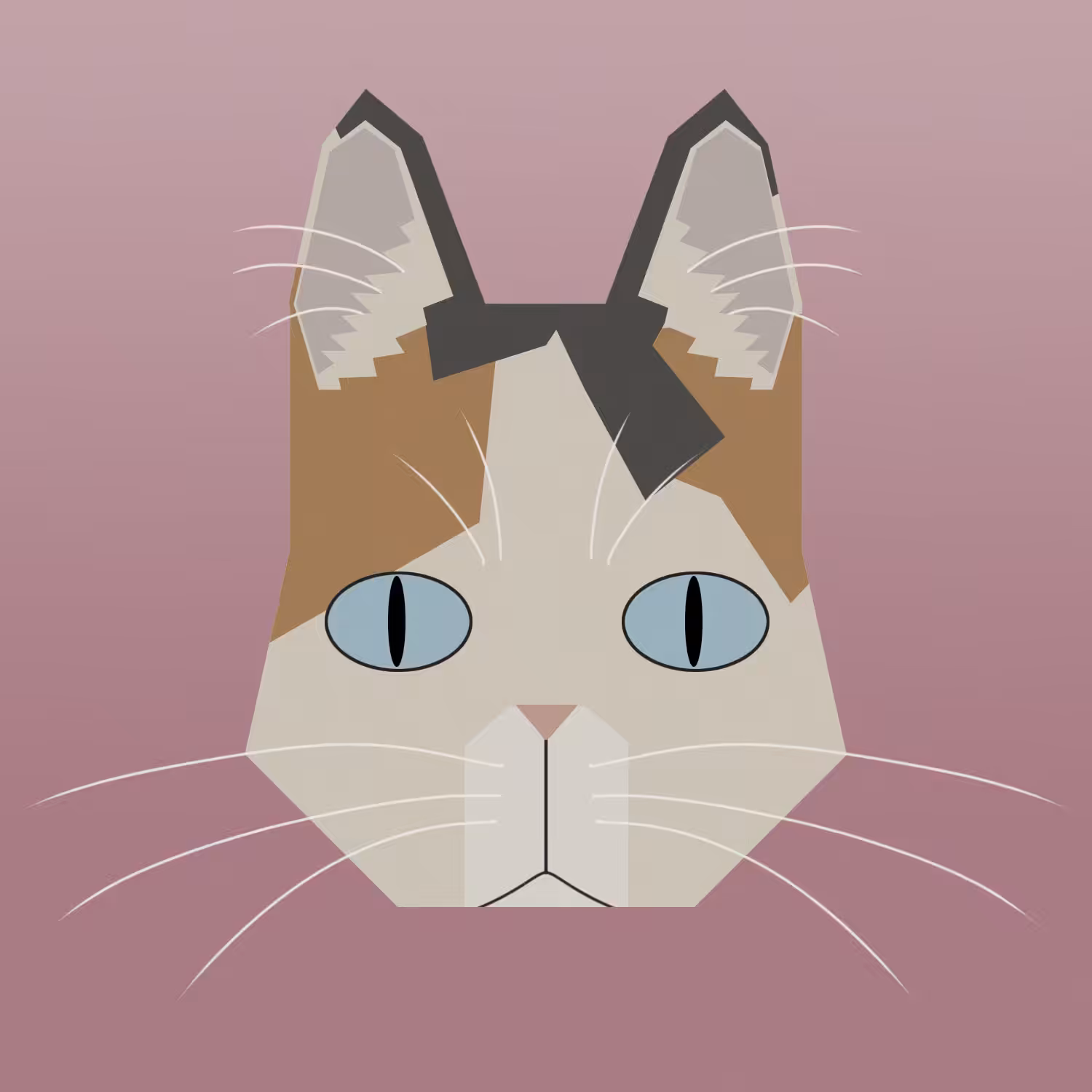kitty #20 - japanese bobtail