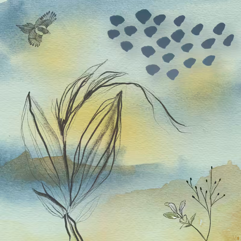 Remember Nature #9