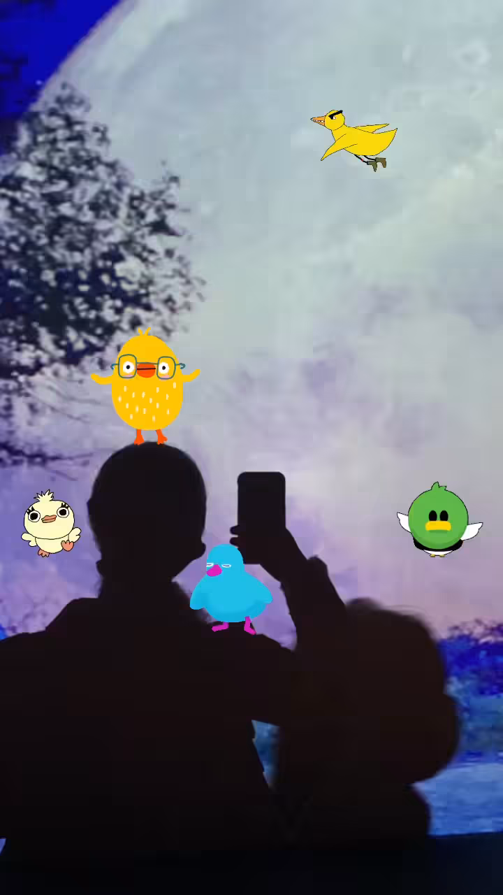Flying ducks