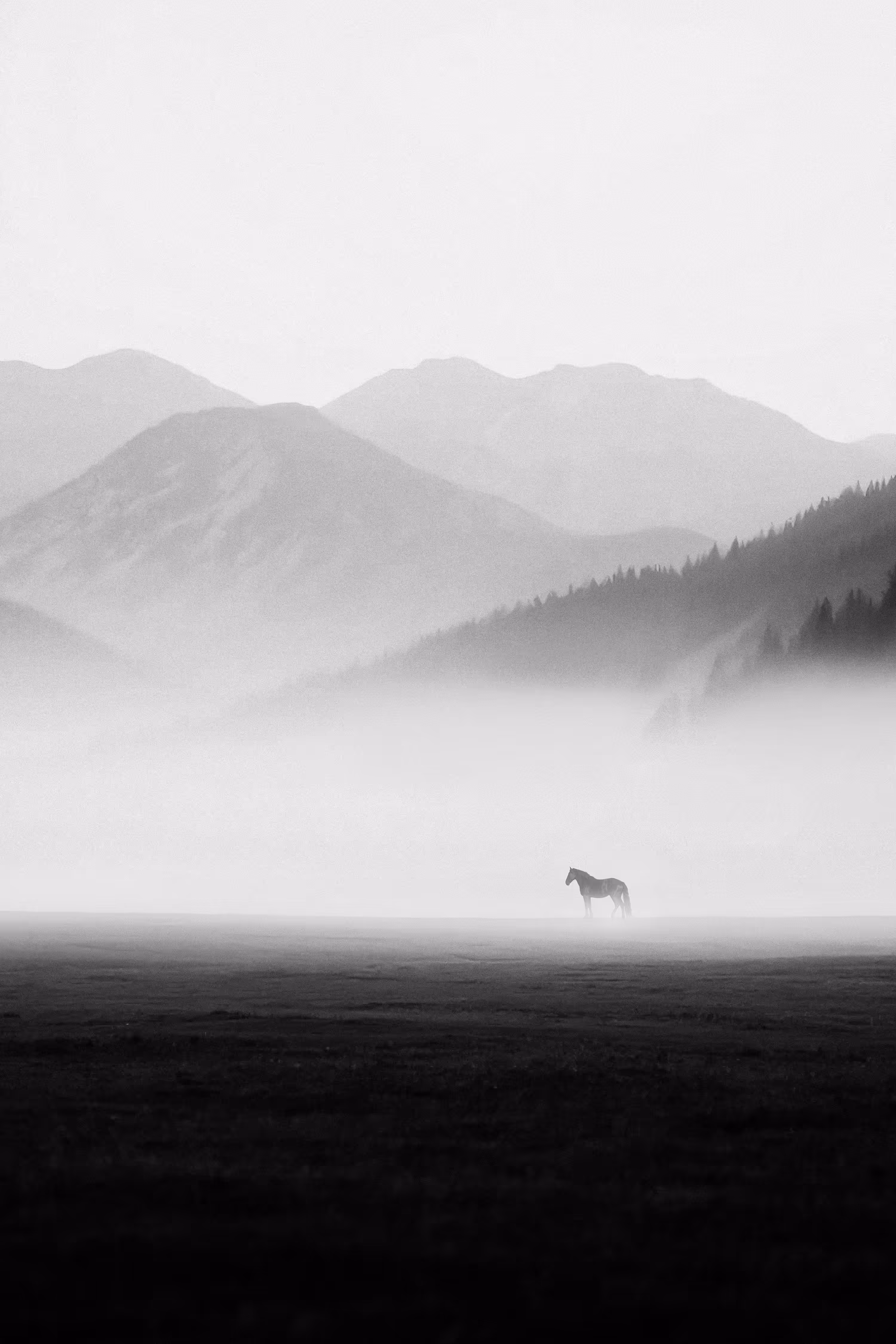 Serene