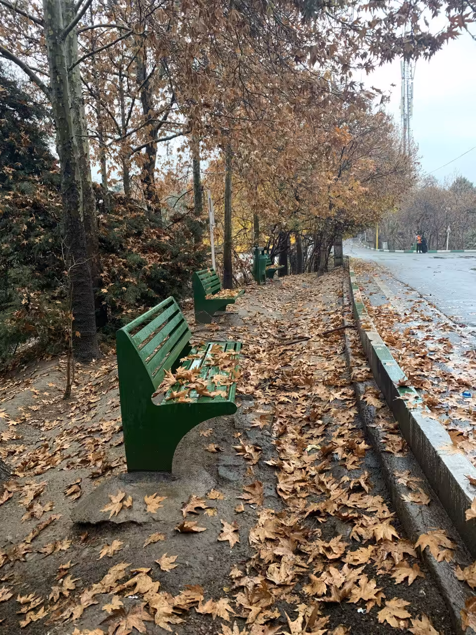 Autumn