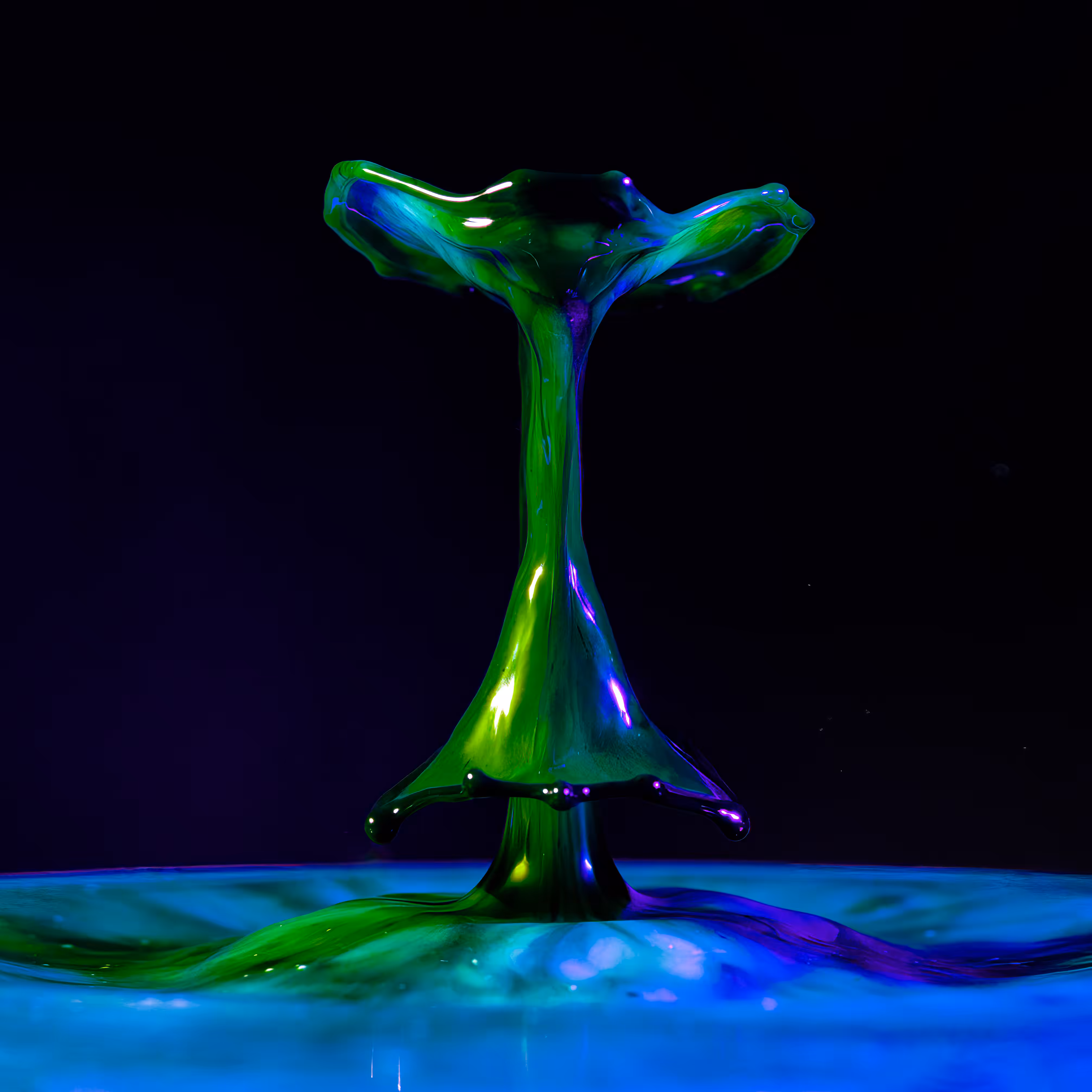 Splash of Colour #16