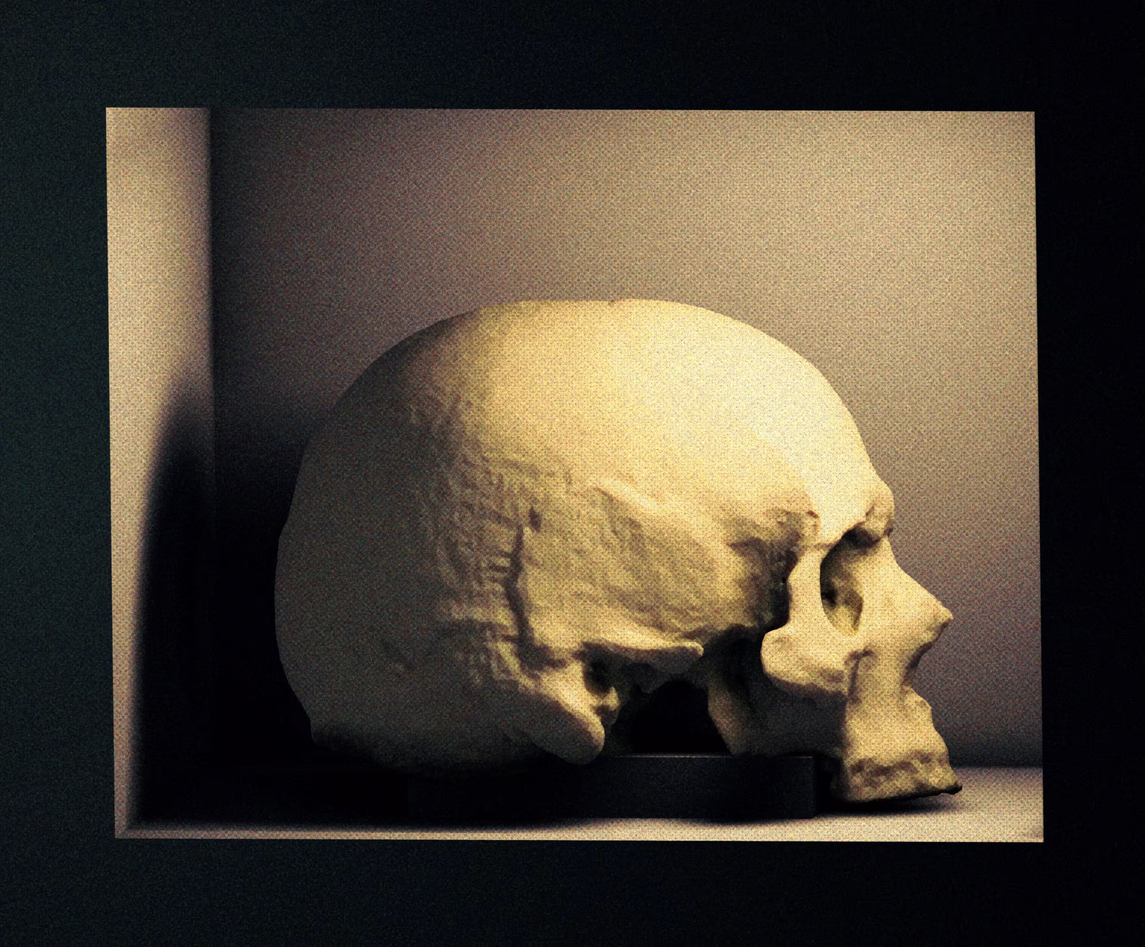 A single skull (a relic).