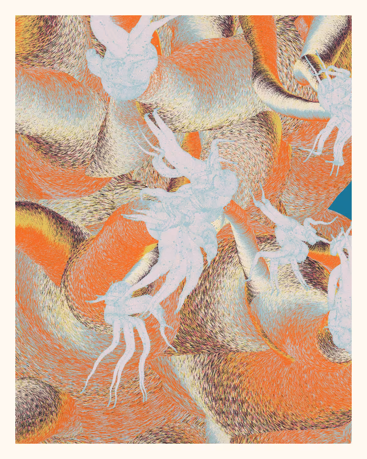 Aliciidae #34