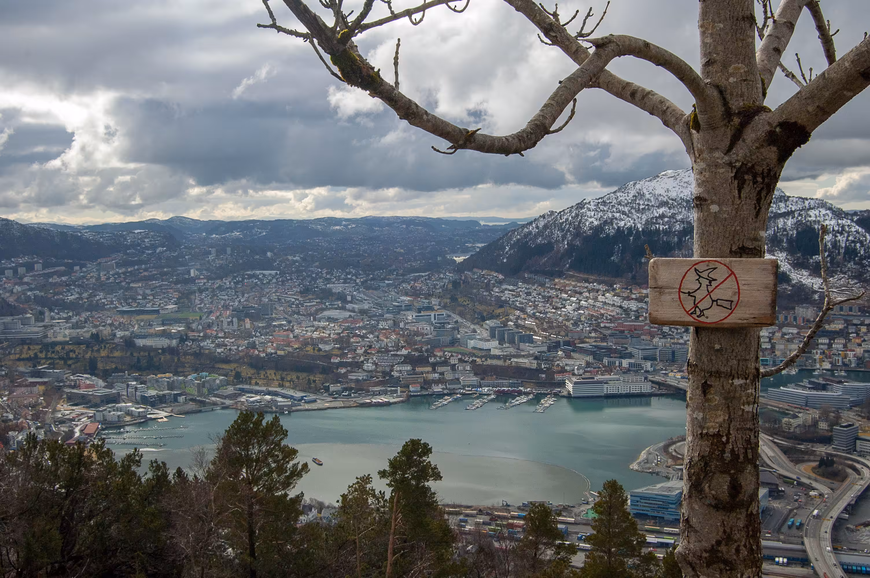 Norwegian Scenes 02 - Fløyen