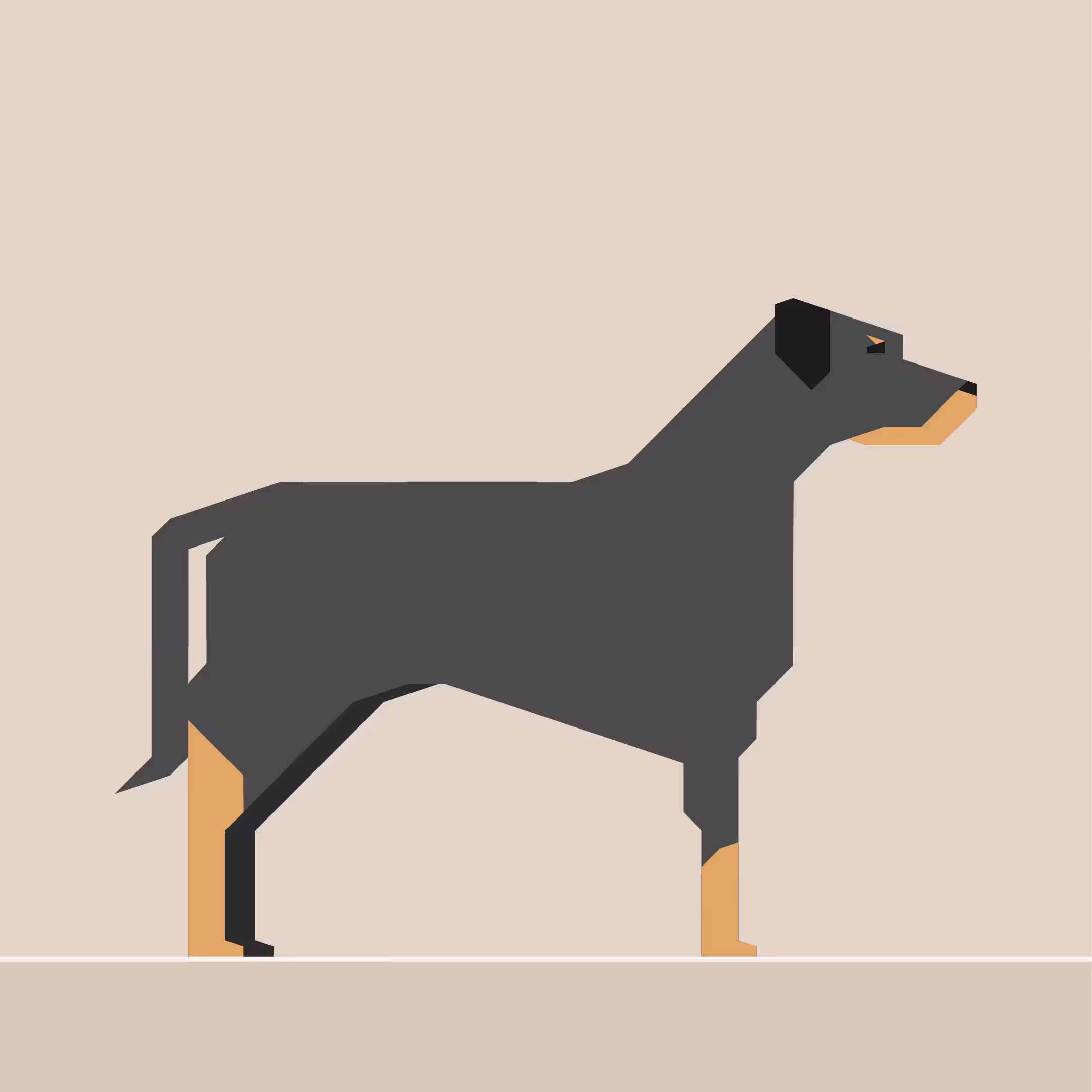 Beauceron