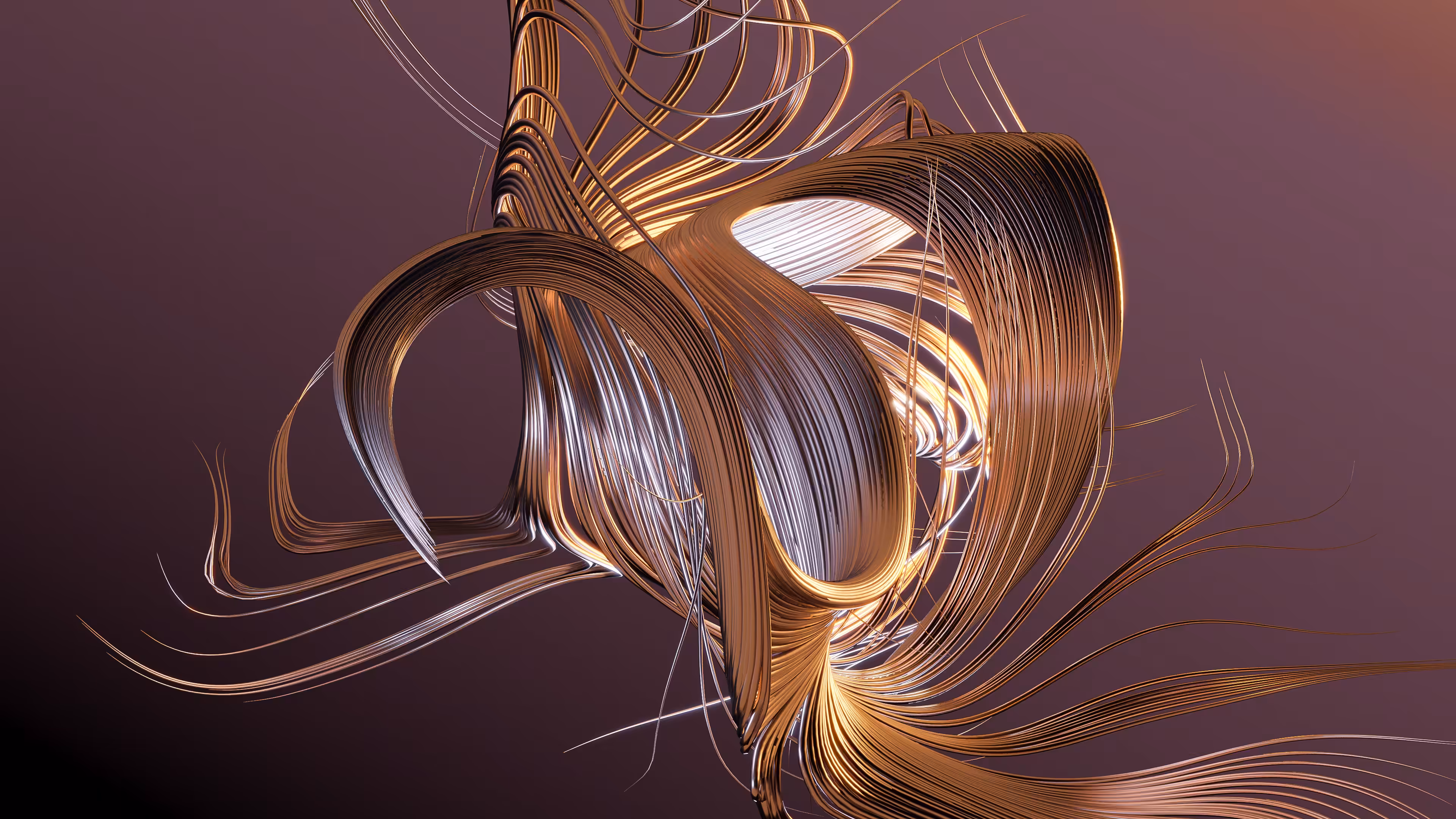 Golden Feather Curl #2