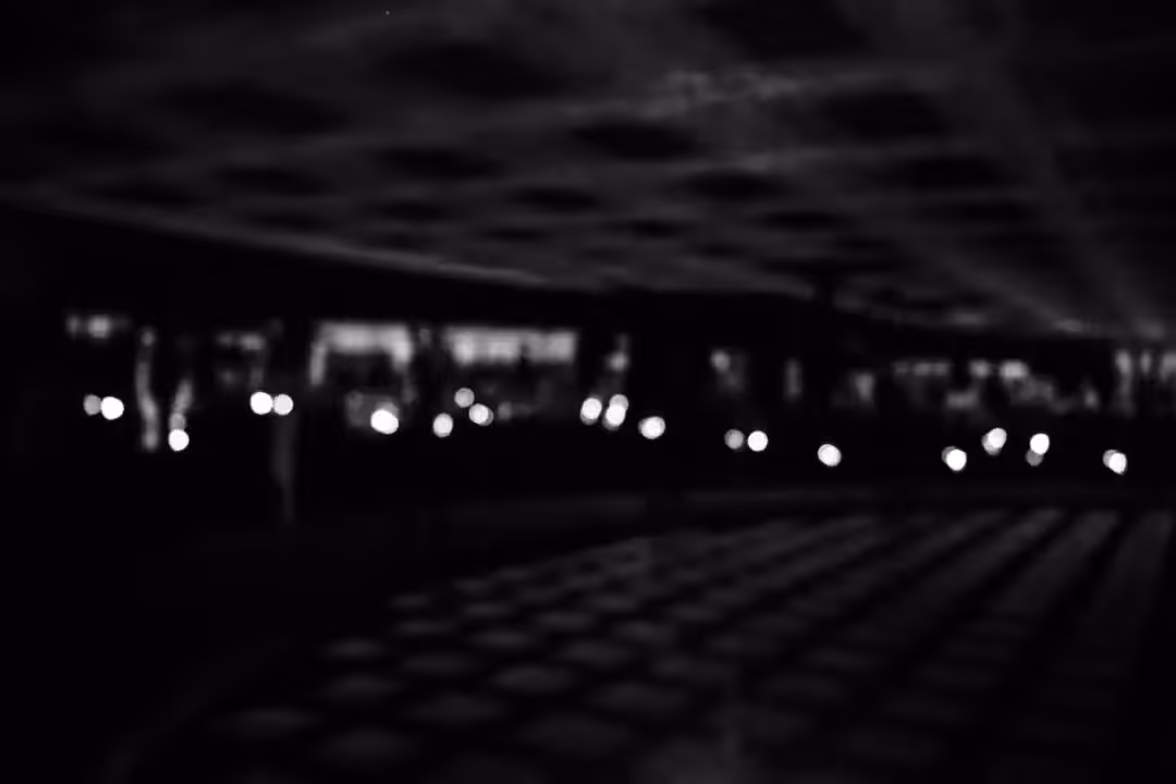 Black and white : The fallen night 