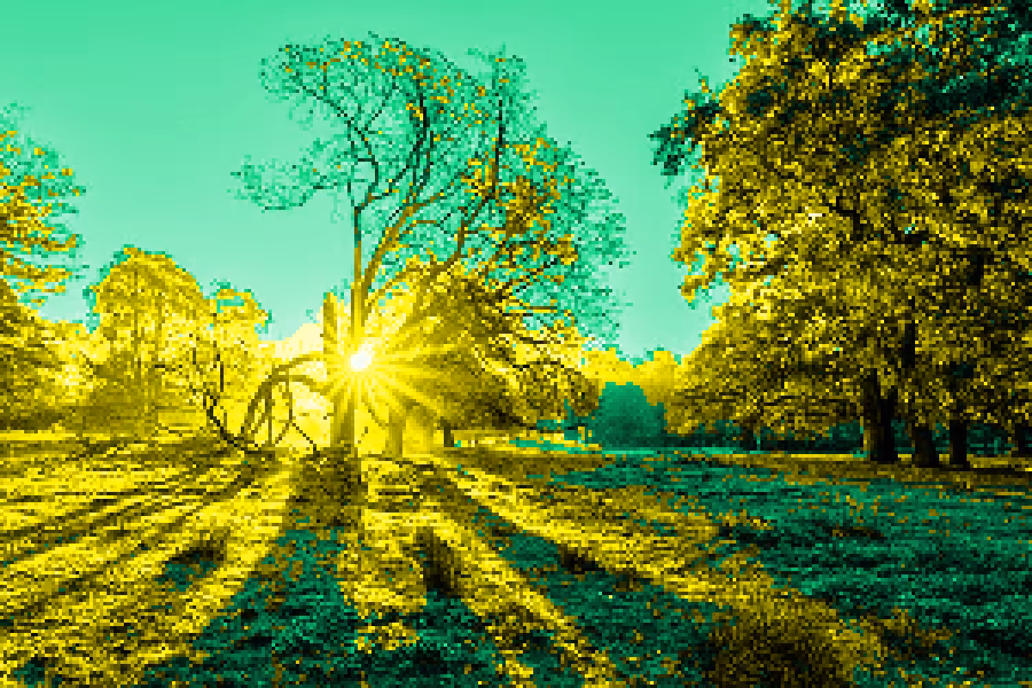 Forest #4