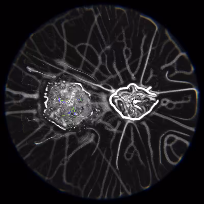 Ethereal Microcosm #293