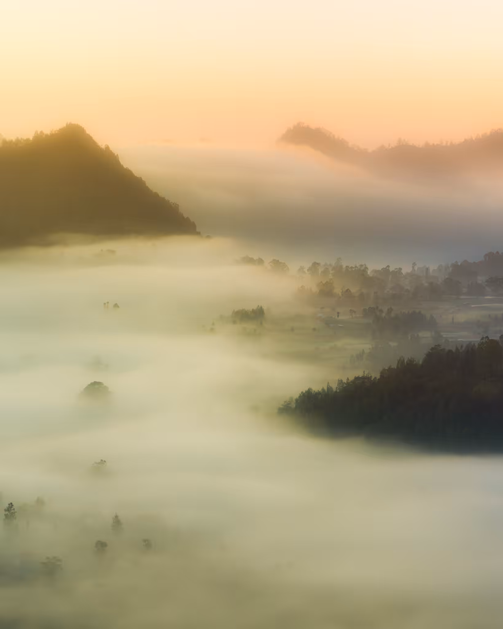 Dreamy Morning