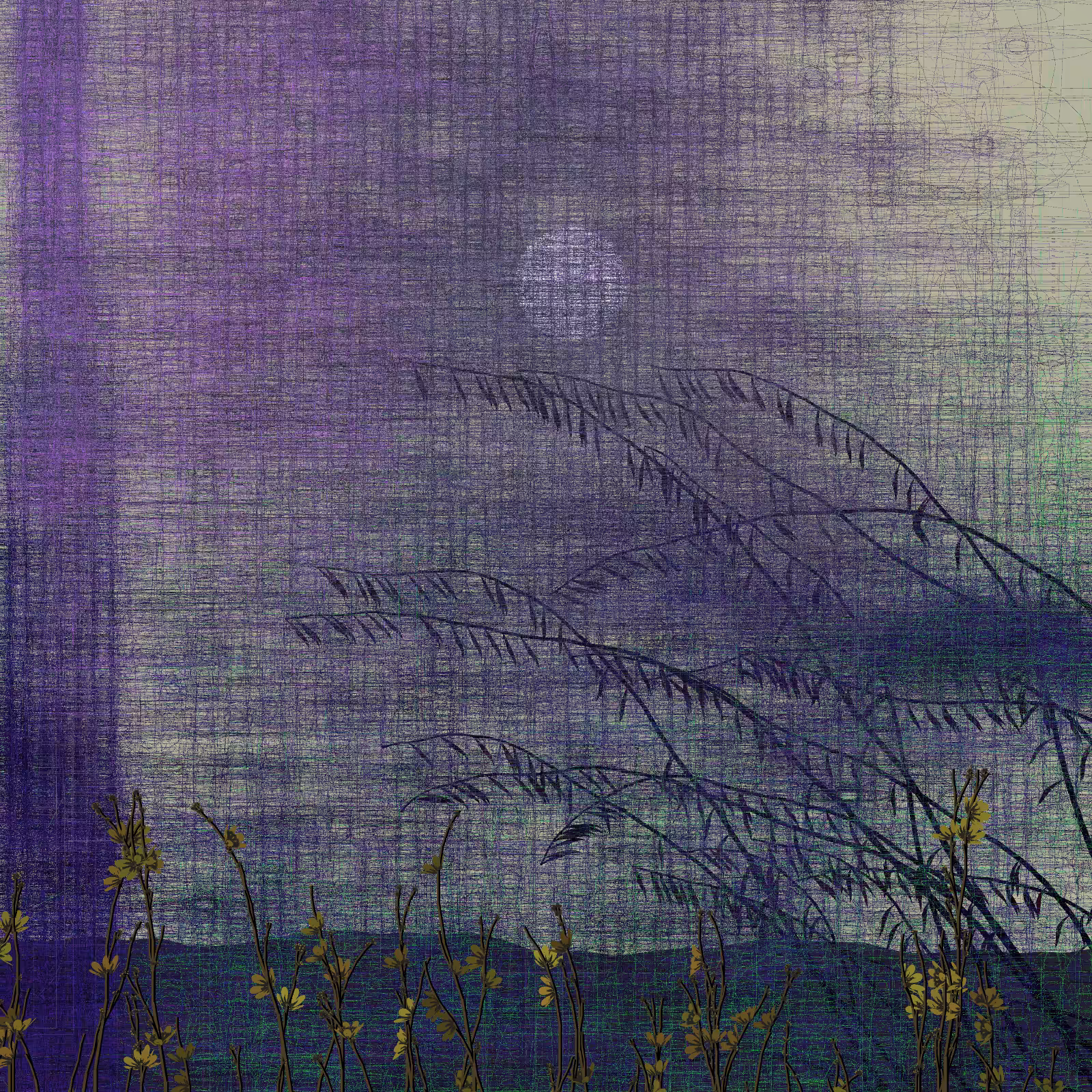 Echoes #75