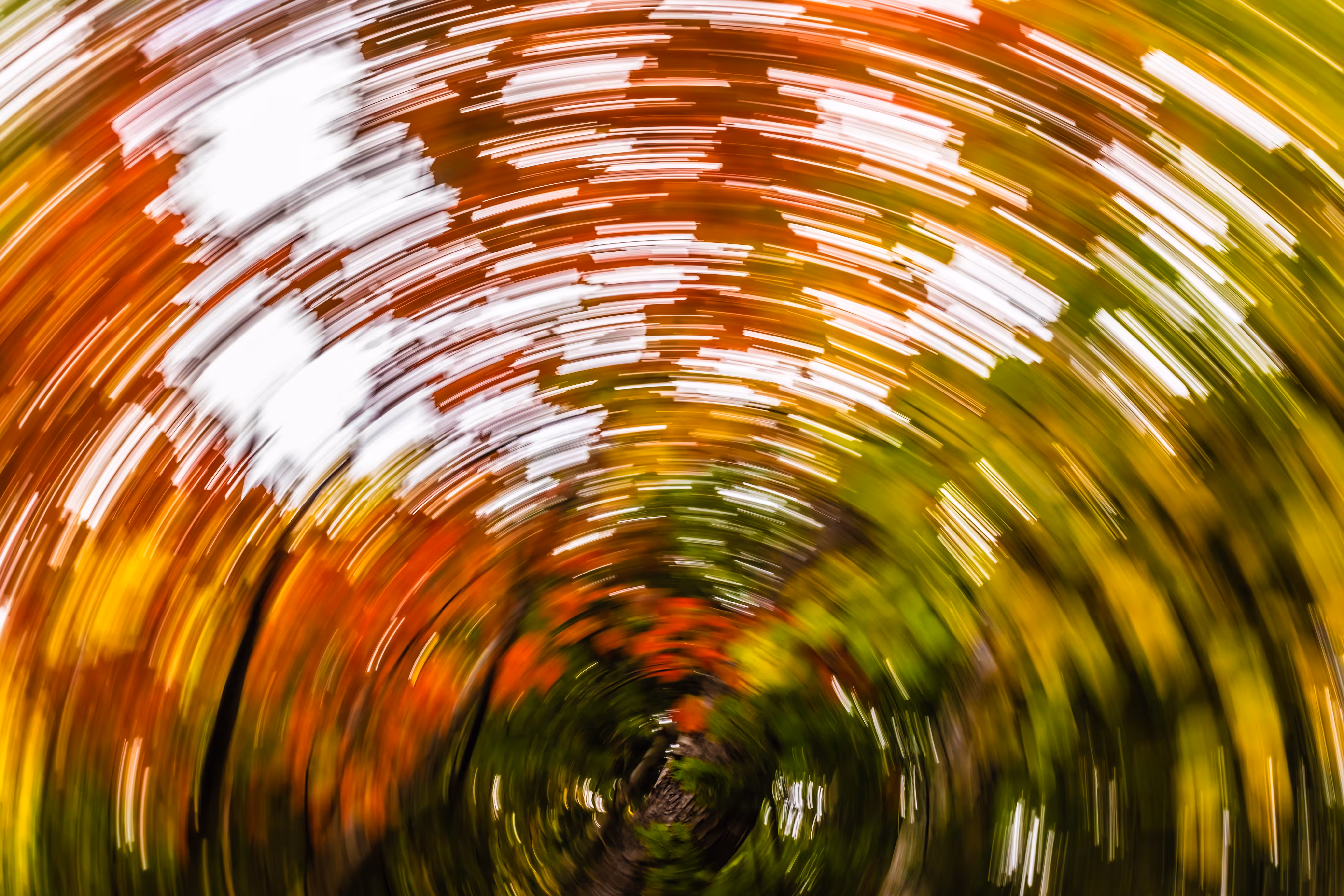Tree Rings - II