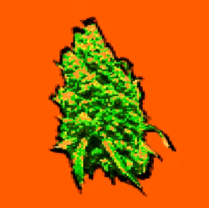 Avalanche GreenHAZE-066