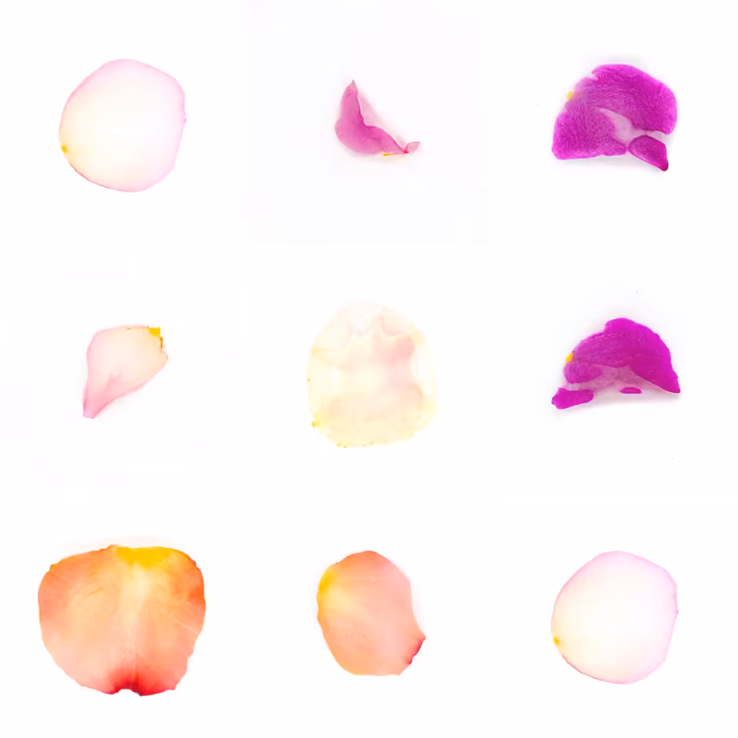 Infinite Petals 3x3#3682