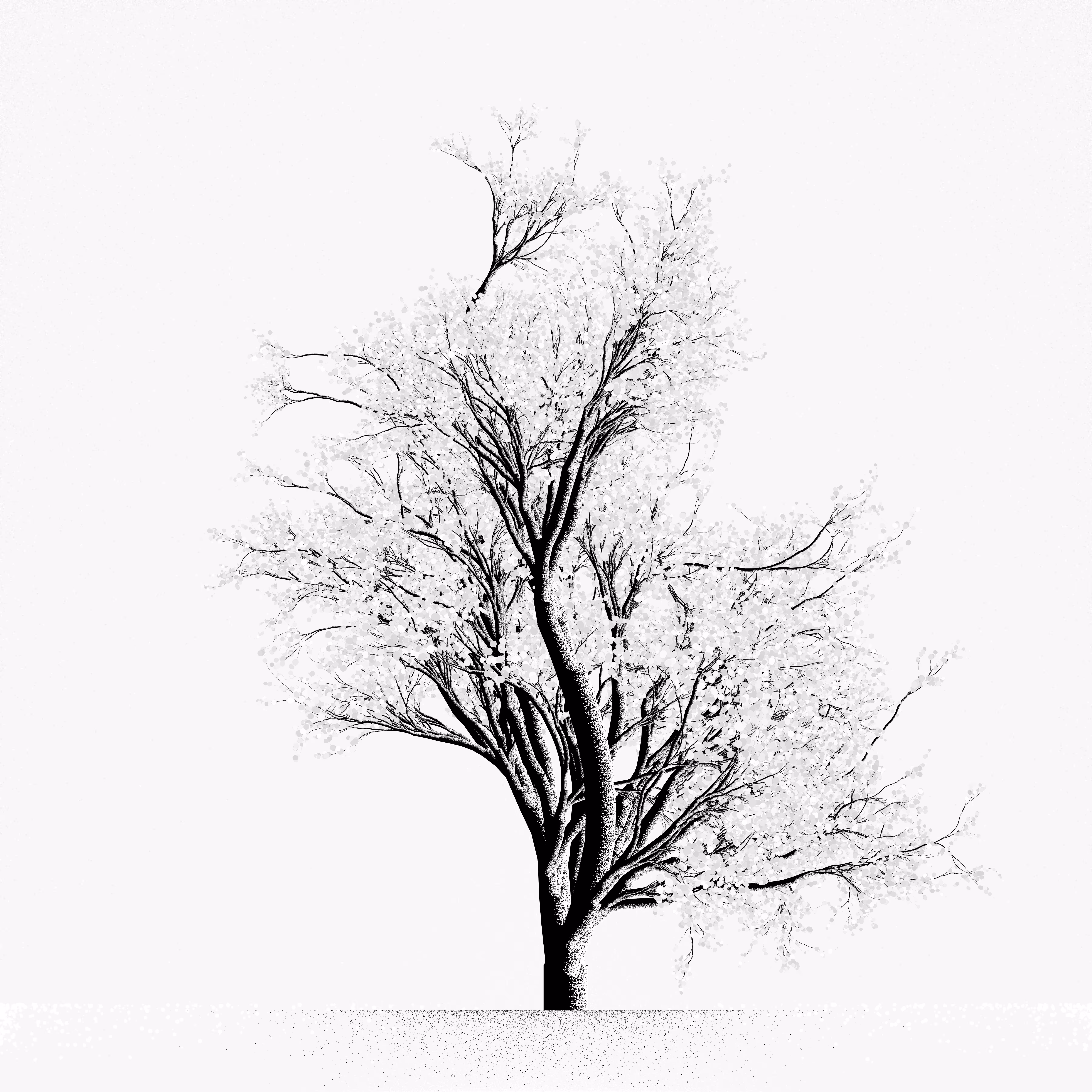Snow Tree #43
