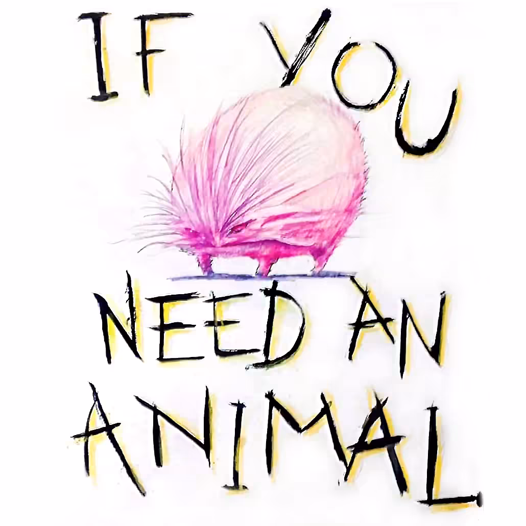 Animal