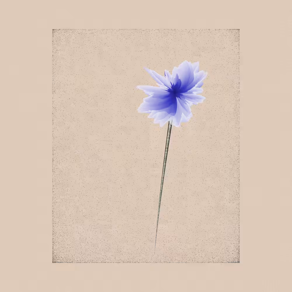 Magnolia #106