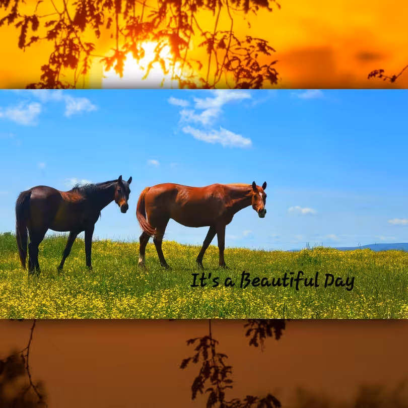 It's a Beautiful Day 