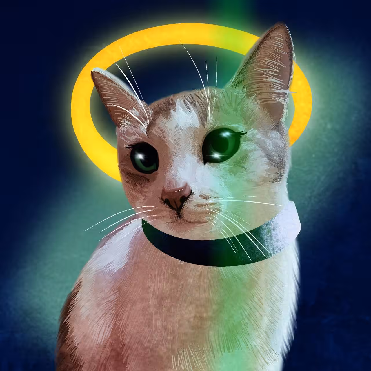 Faithful cat