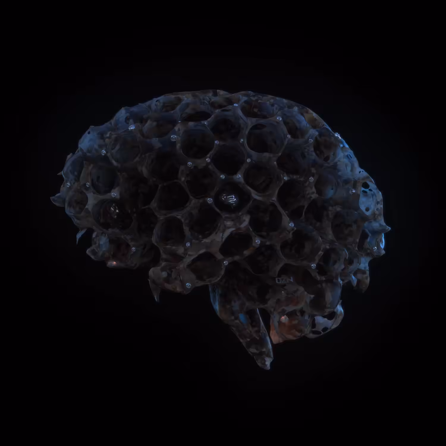 Honey Brain