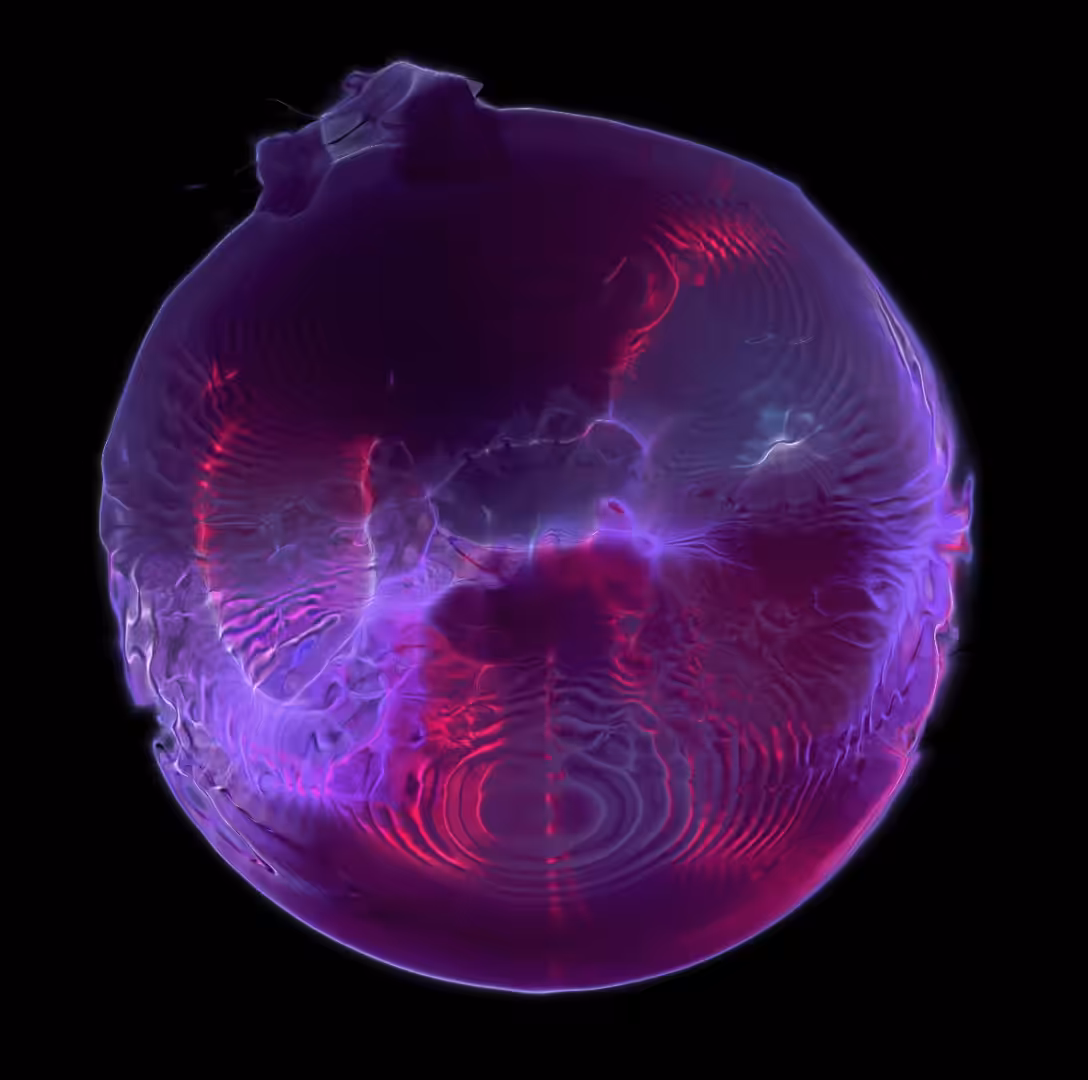 Protoscales