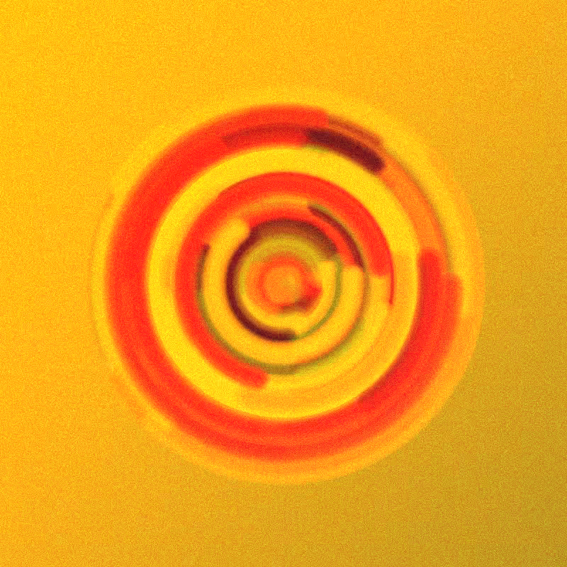 Wisp #709