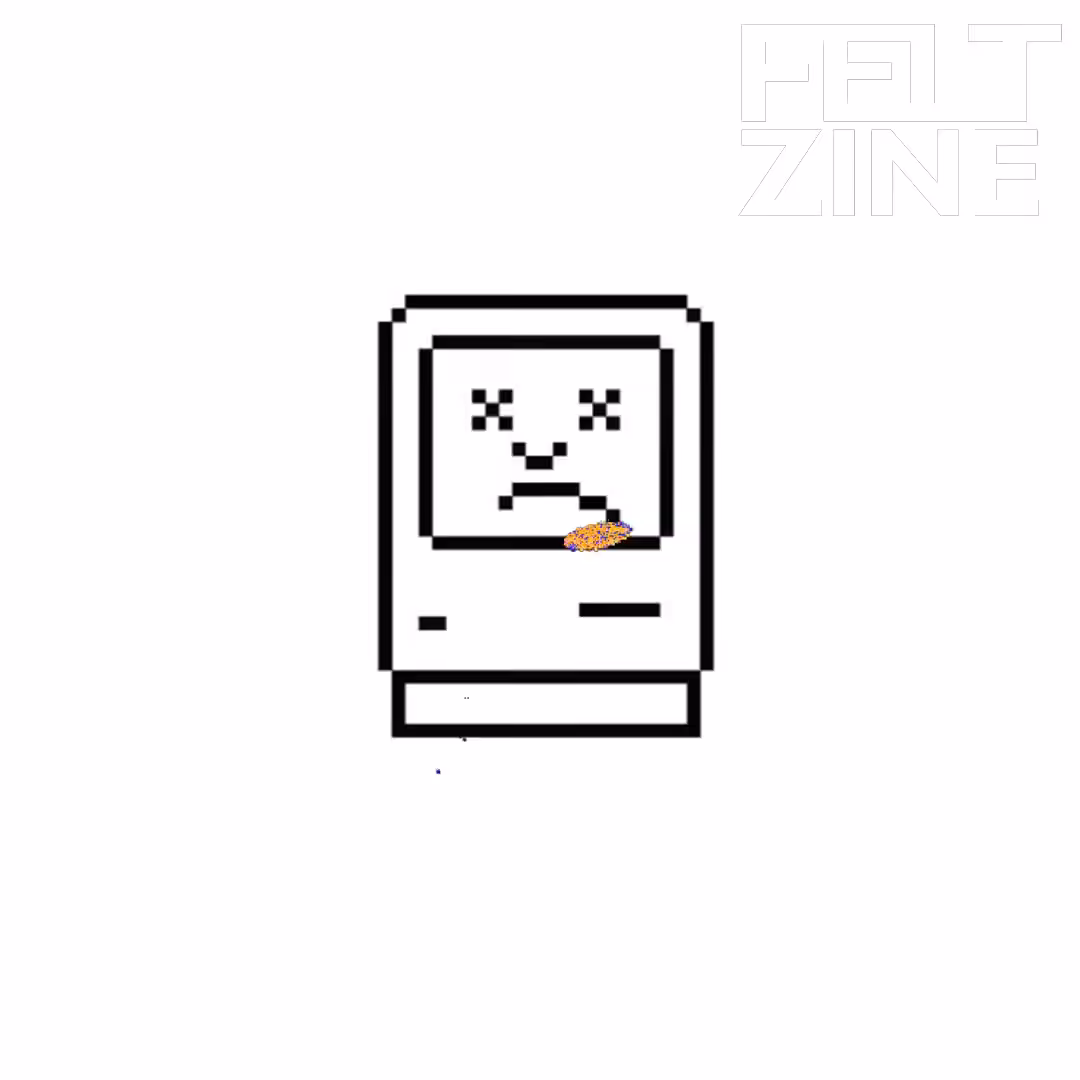 Canvas by Felt Zine: Canvas #245: mac screen. — vr. — flowers. — white box logo. — bleep