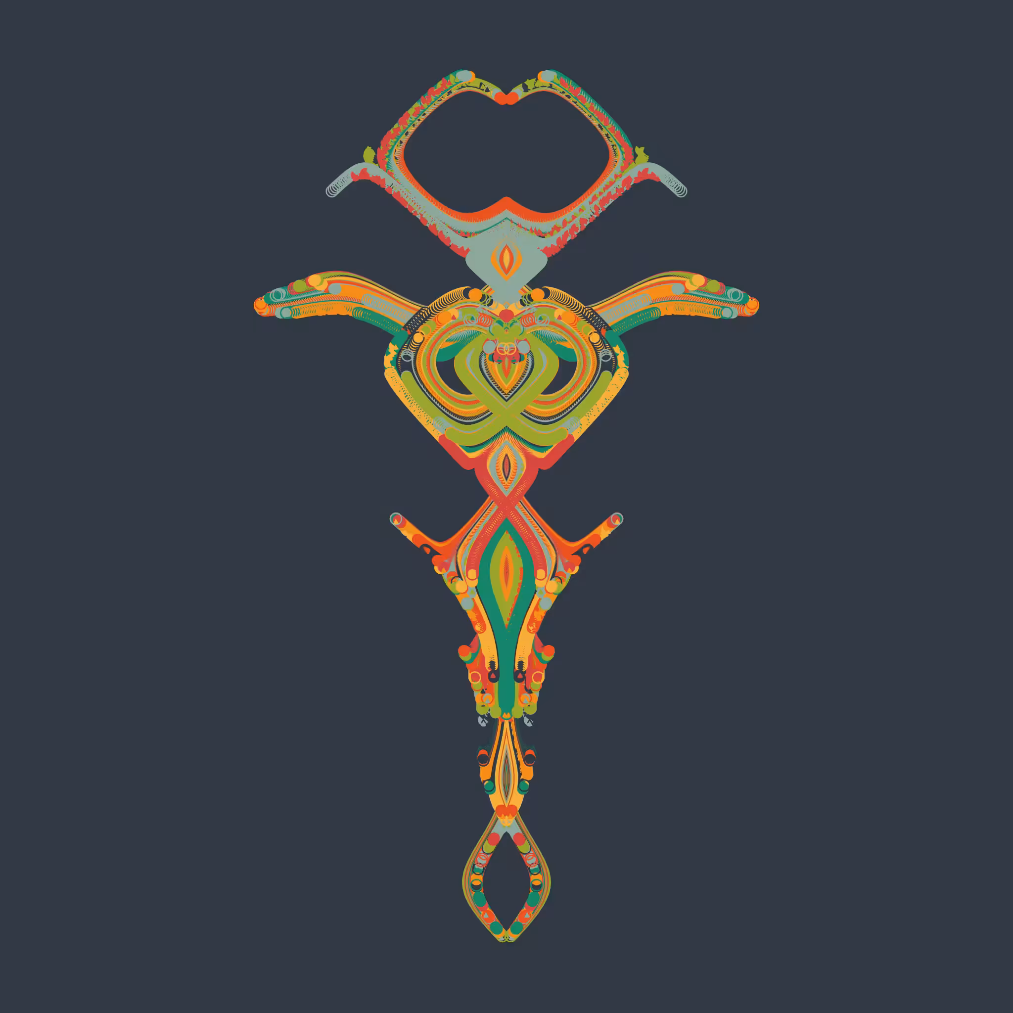 Morphology: Dragonfly