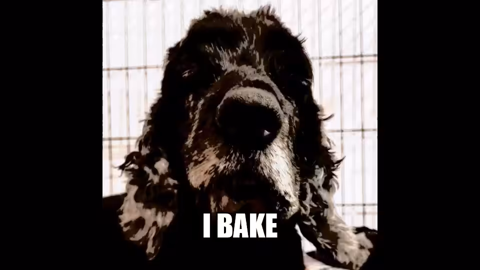 I BAKE