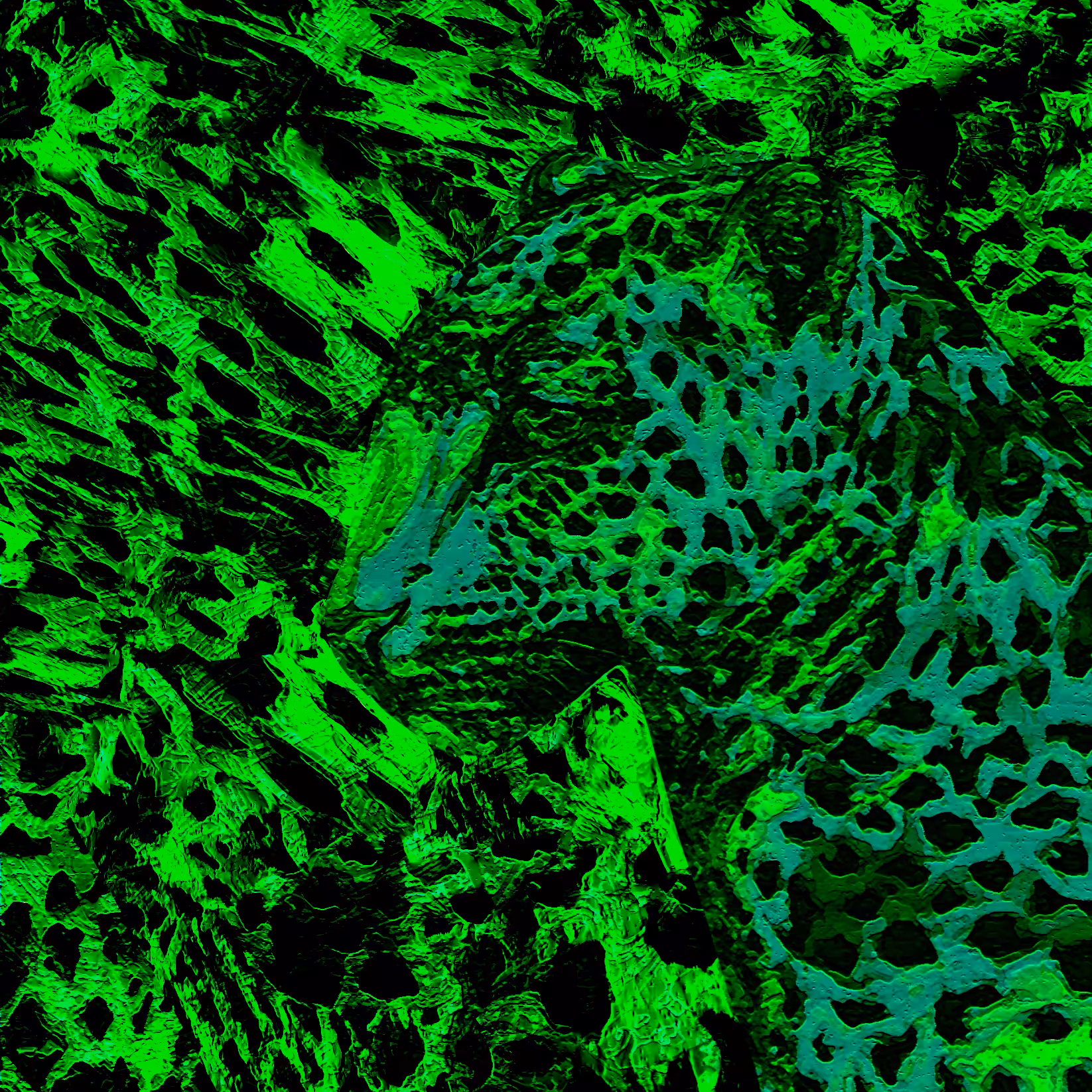 camo