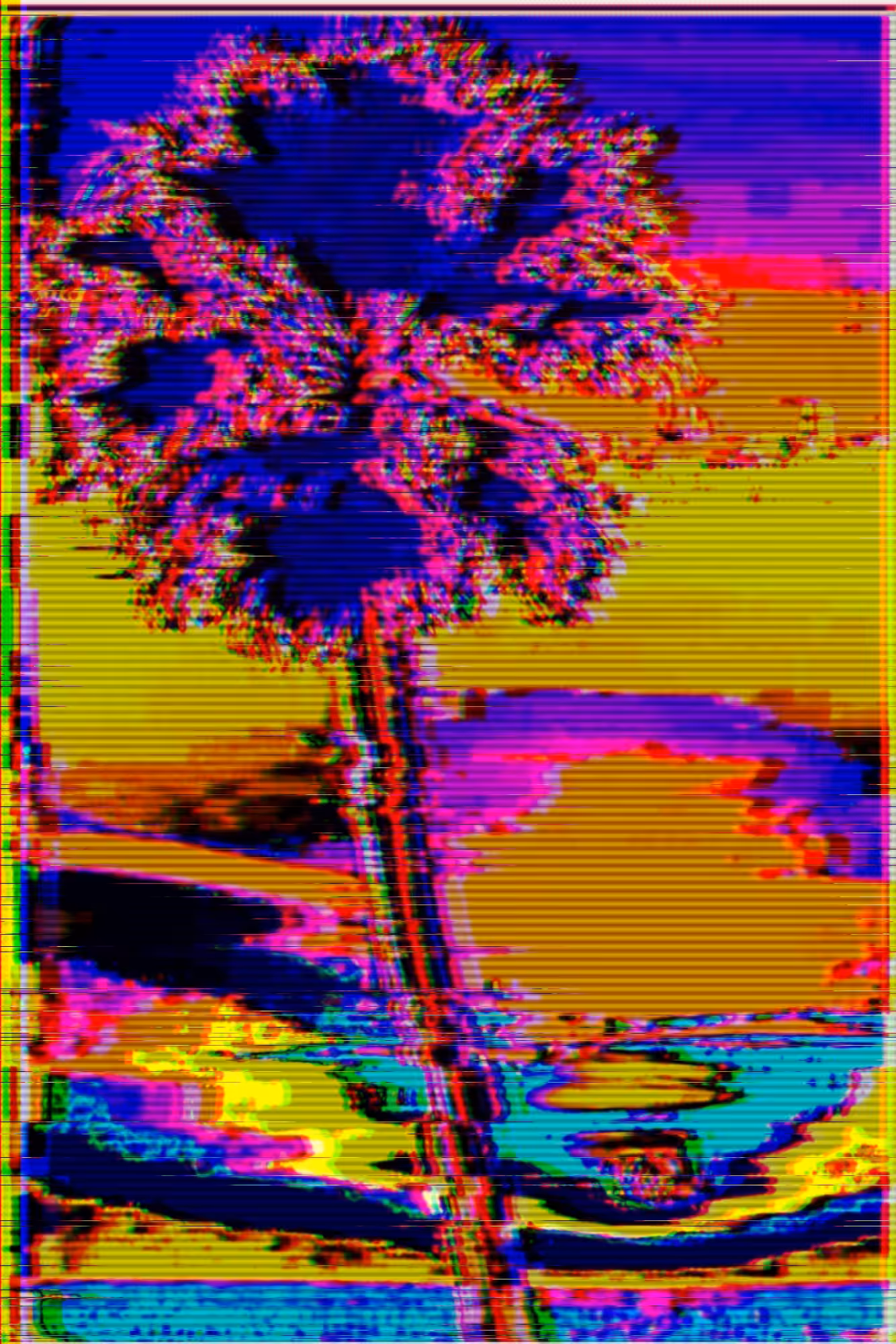 Nature: Hidden Palm