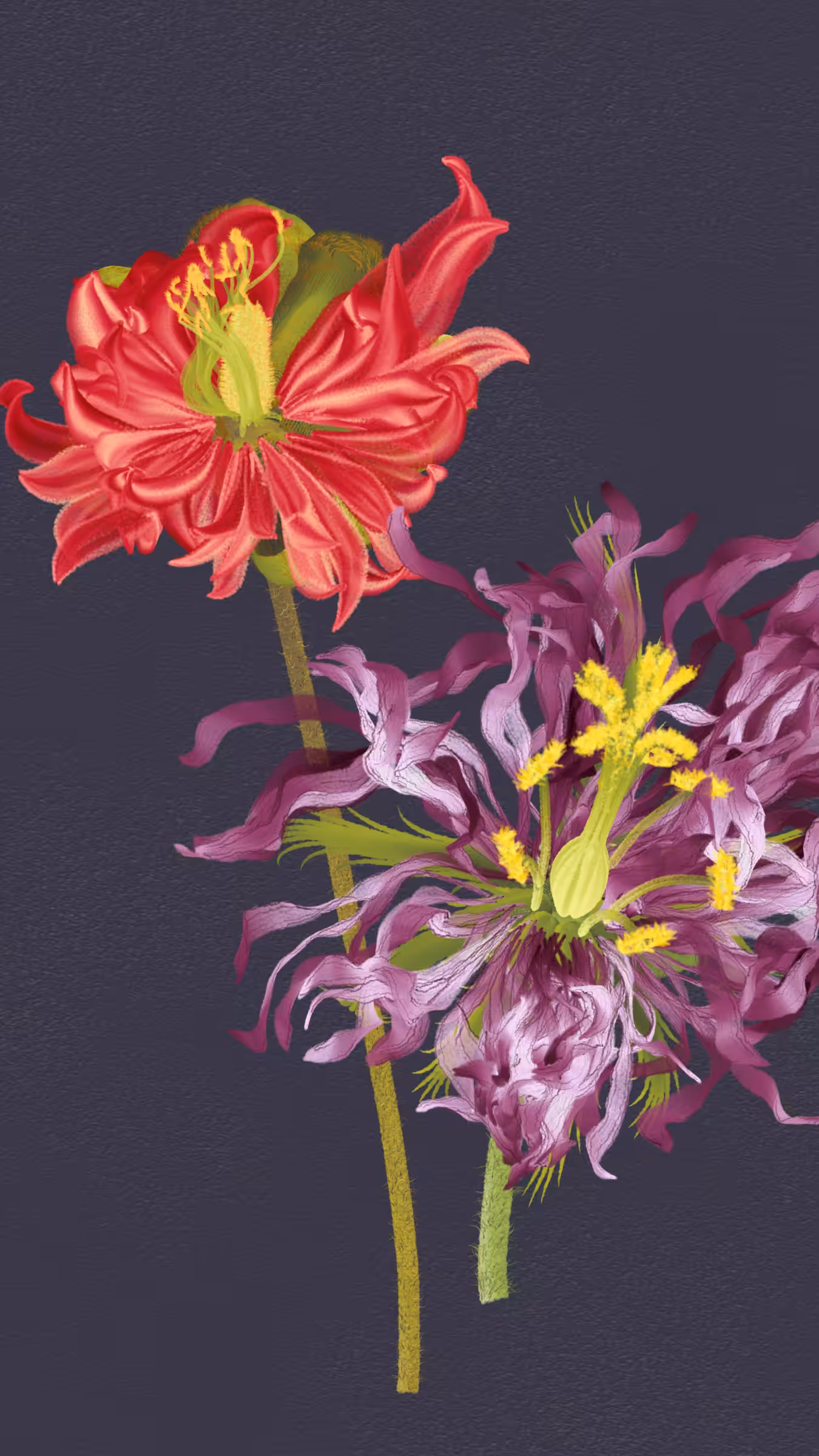 Delirium Blooms #26